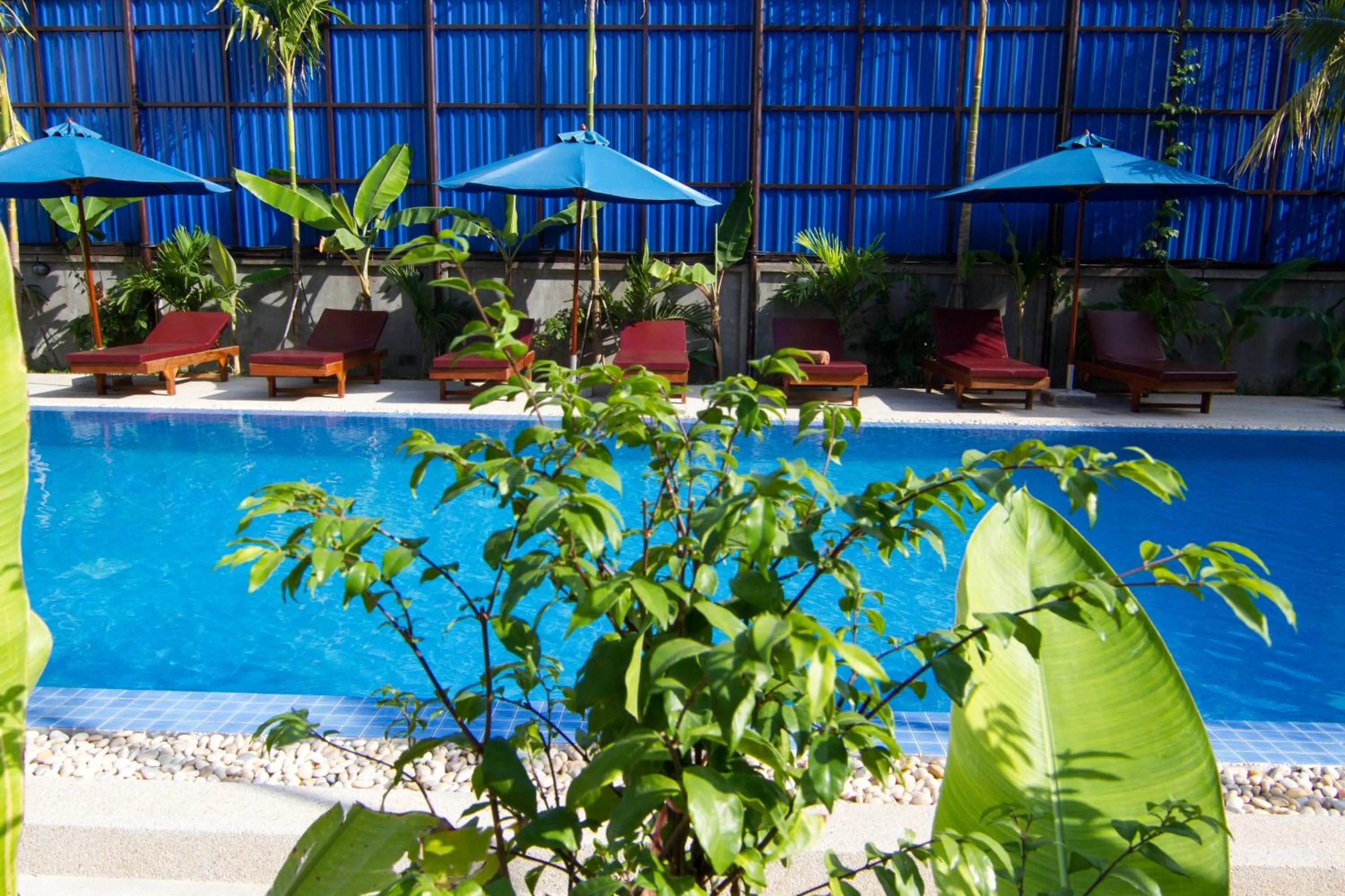 Swimming pool in Kouprey Hotel