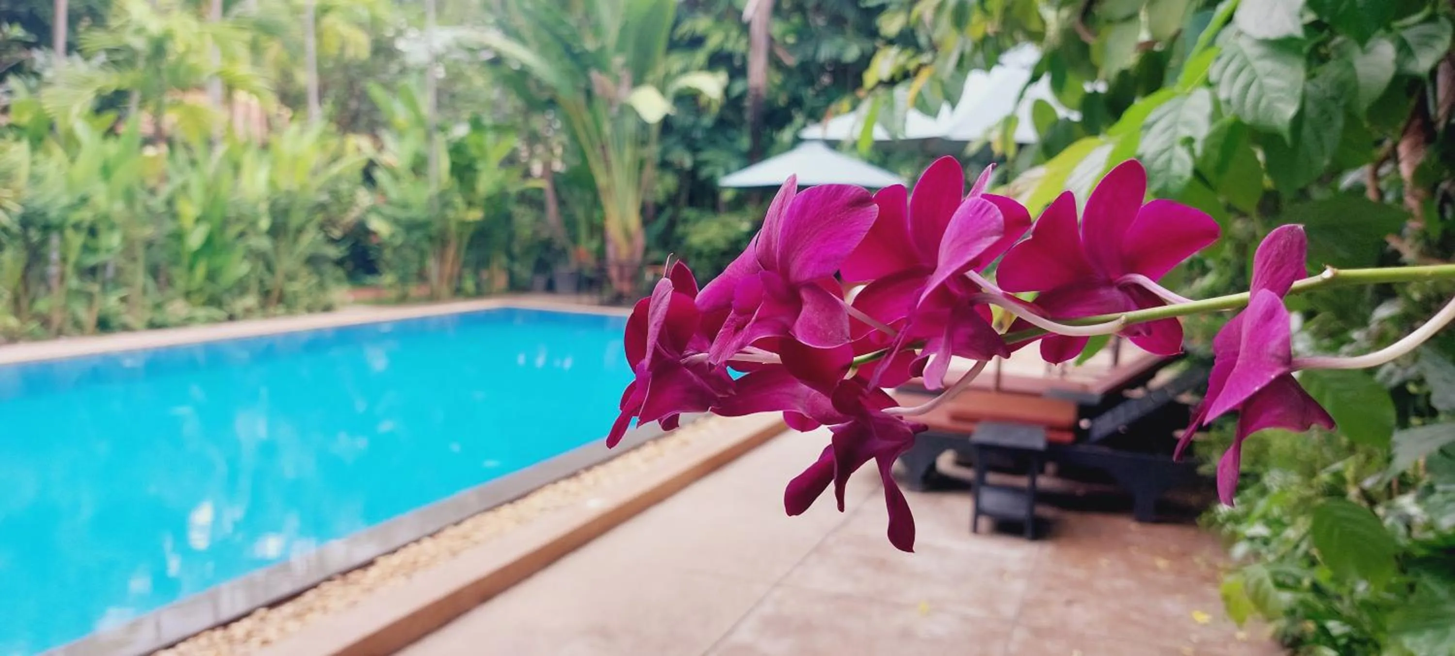 Swimming pool in Kouprey Hotel