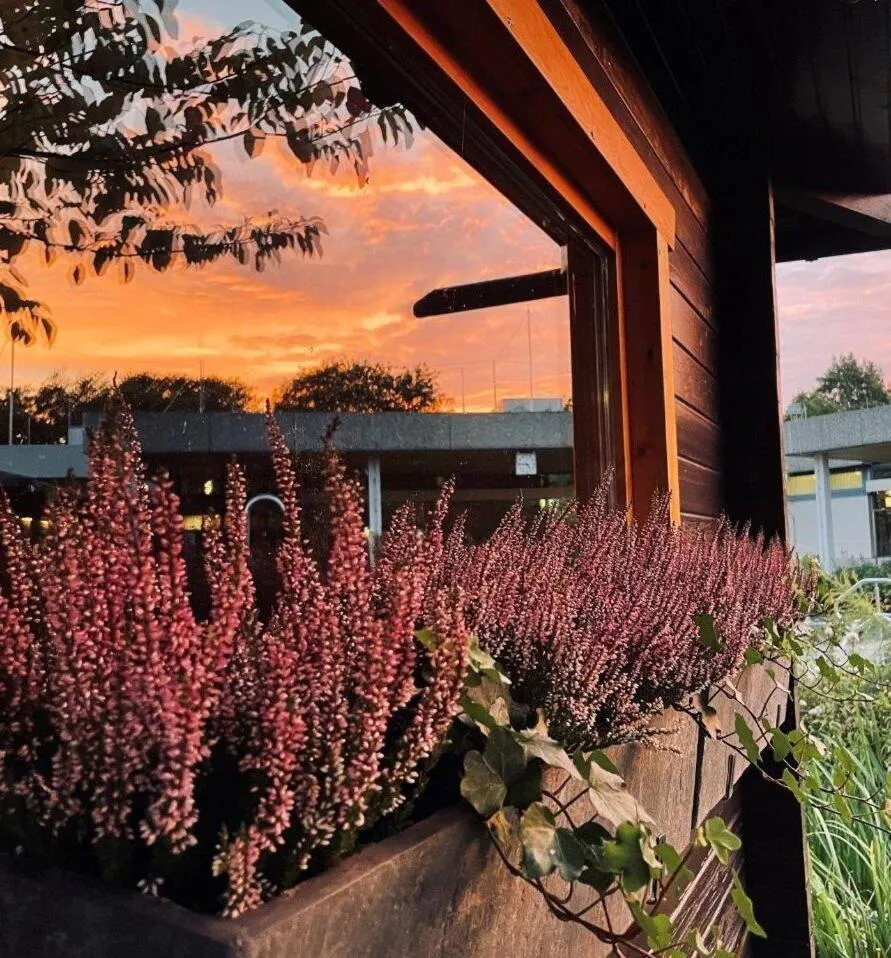 Spa and wellness centre/facilities in Landhaus Zum Heidewanderer mit THERMEplus