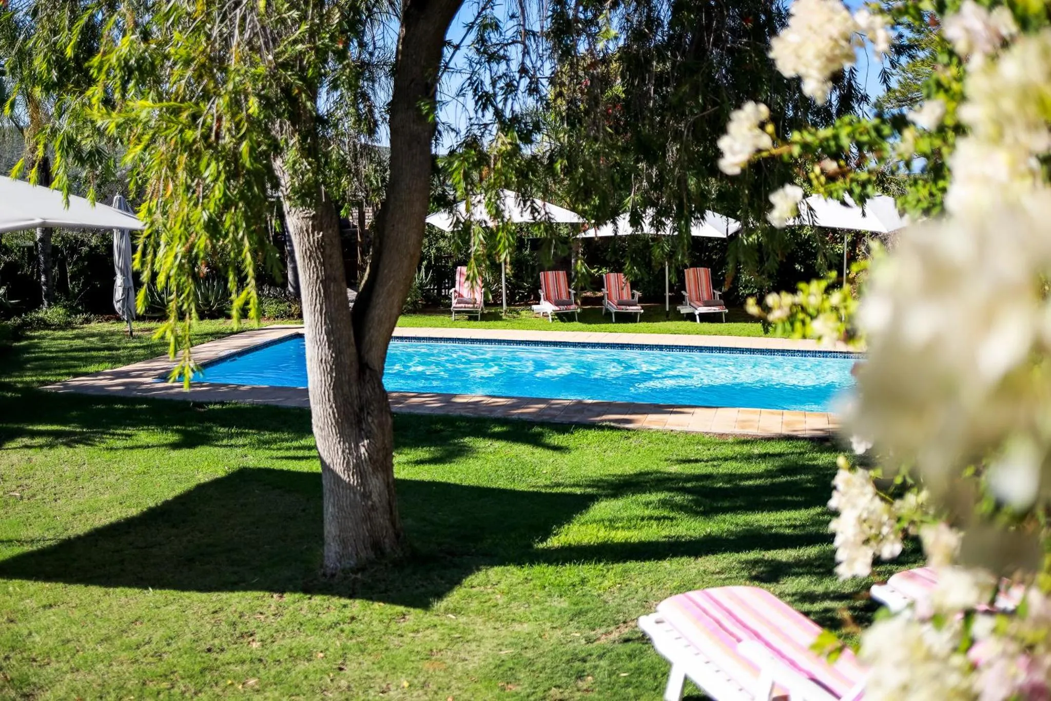 Swimming pool in Altes Landhaus Country Lodge