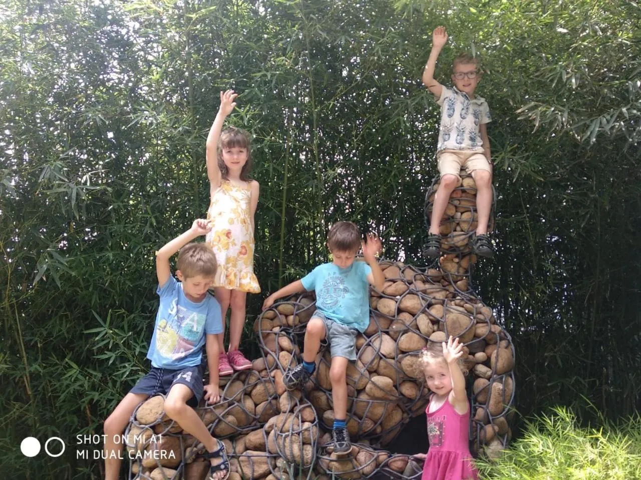 Natural landscape in Chandys Windy Woods Munnar