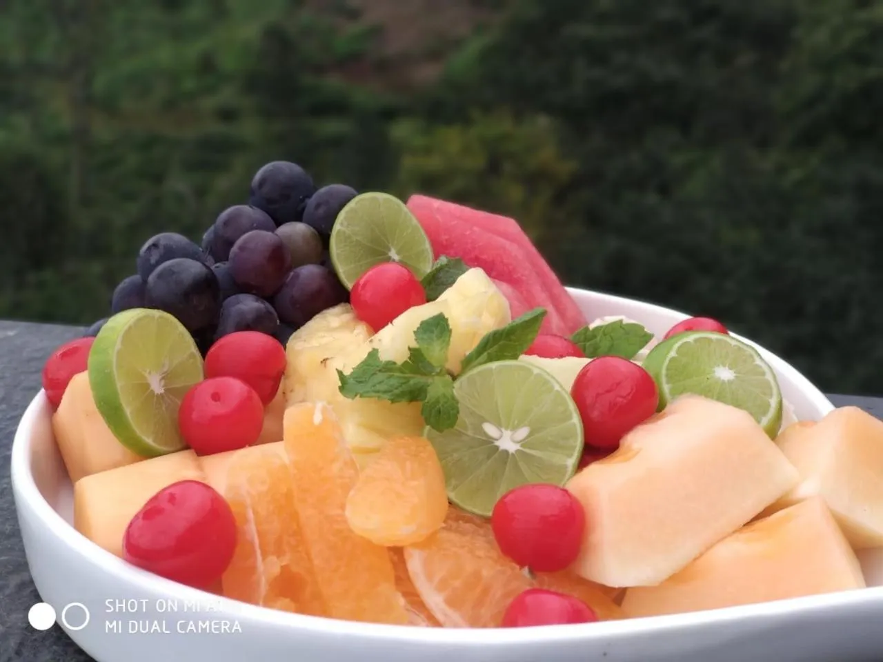 Restaurant/places to eat in Chandys Windy Woods Munnar