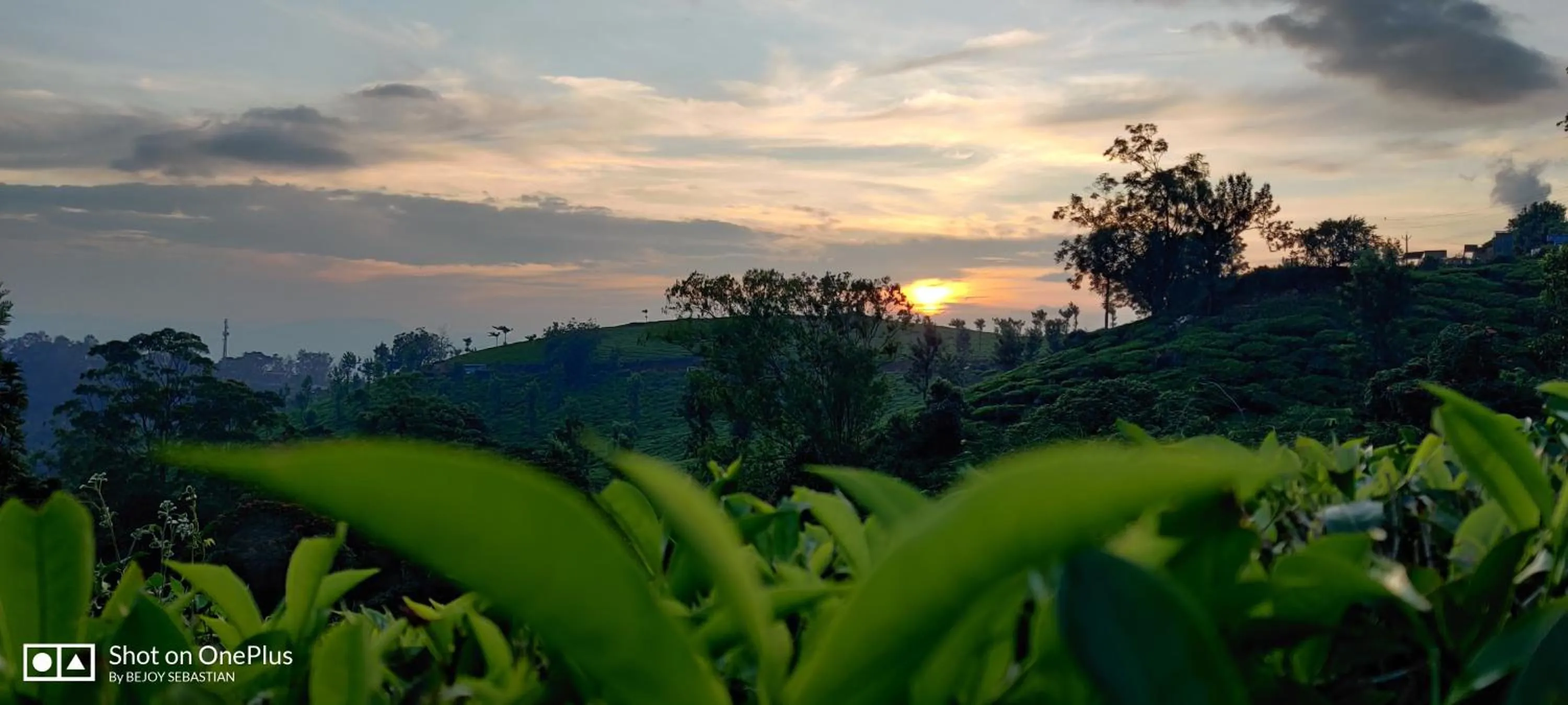 Natural landscape in Chandys Windy Woods Munnar