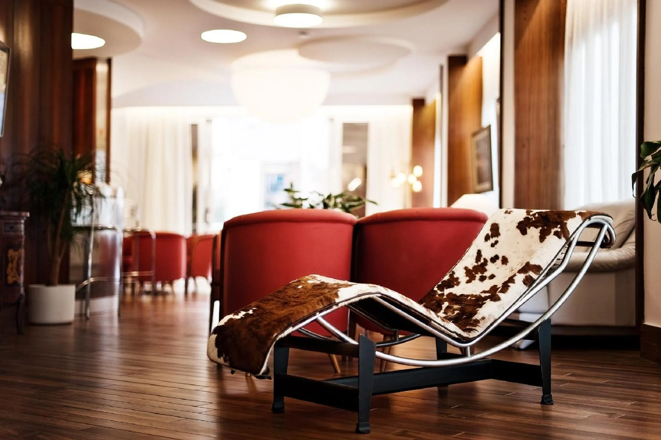 Communal lounge/ TV room in Hotel Continental