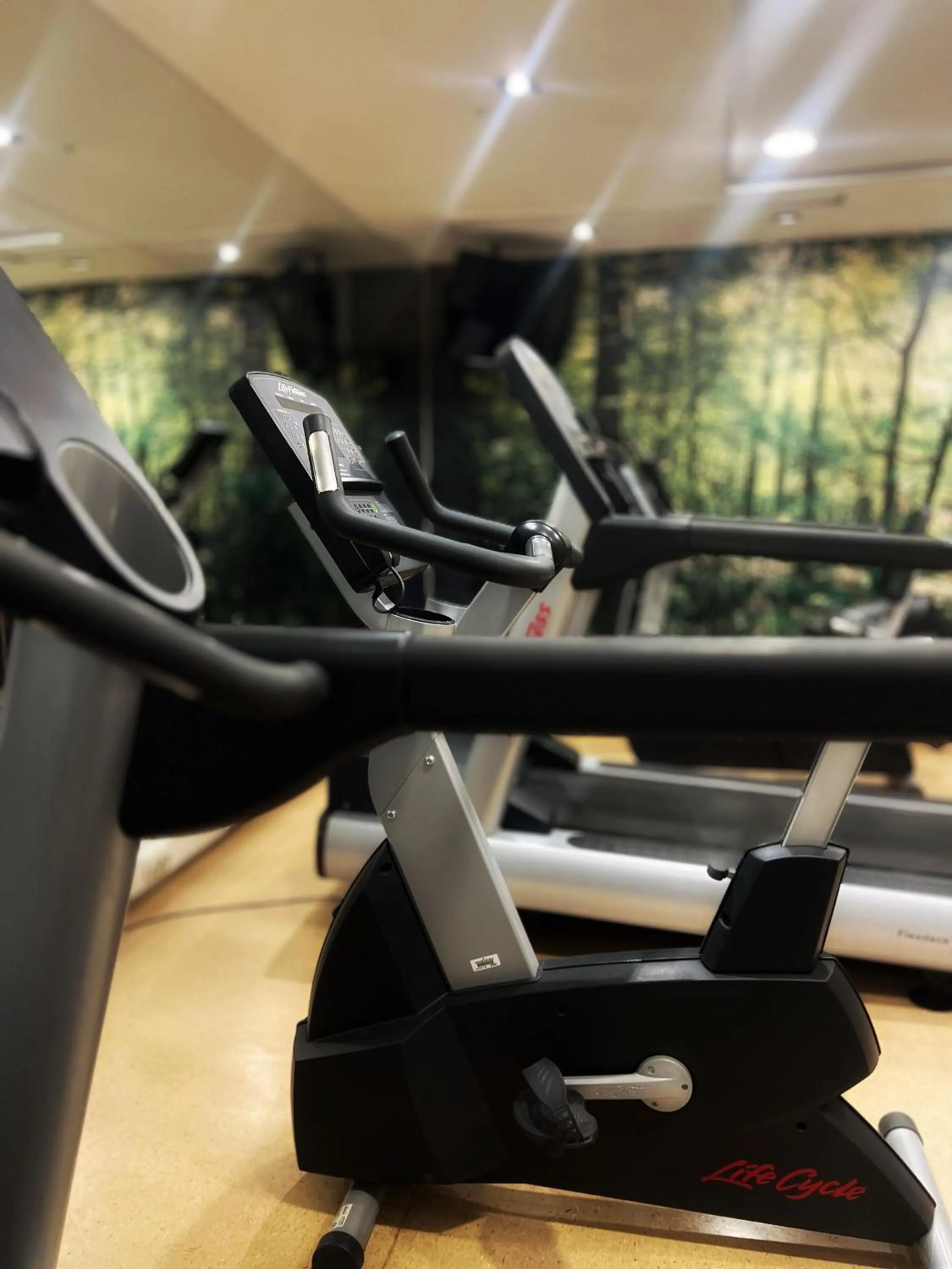 Fitness centre/facilities in Novotel Santiago Vitacura