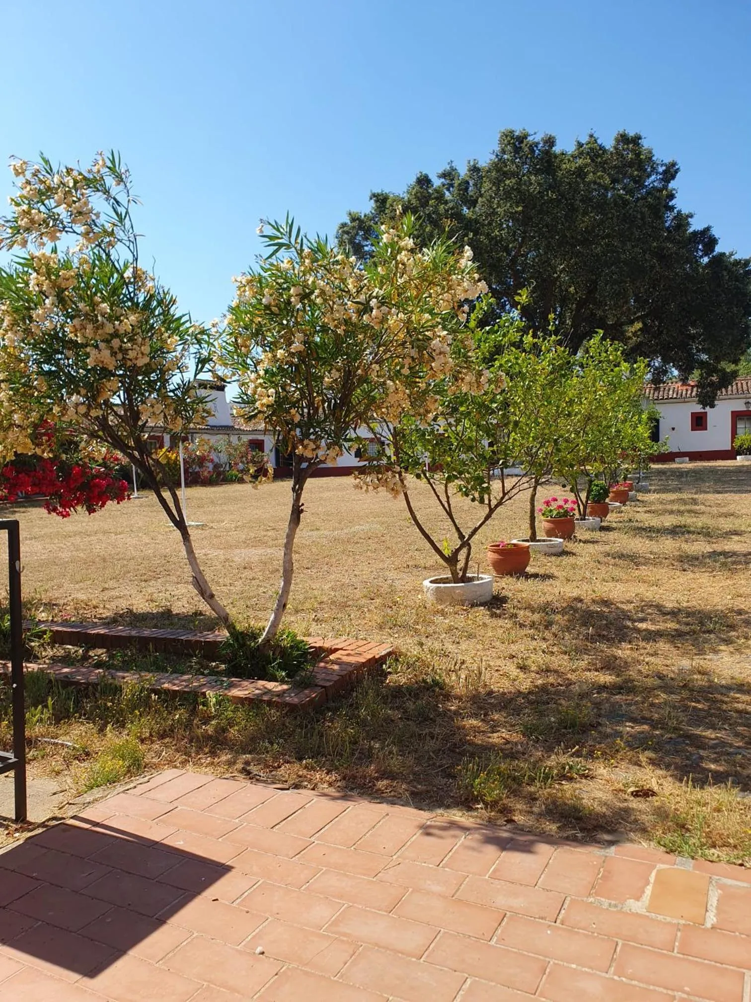 Garden in Hotel Rural El Vaqueril