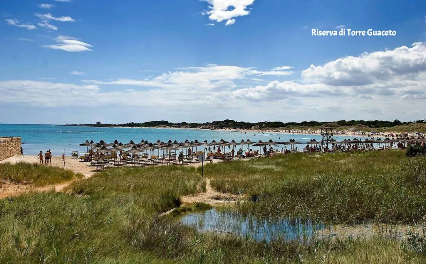 Beach in Villa Orchidea