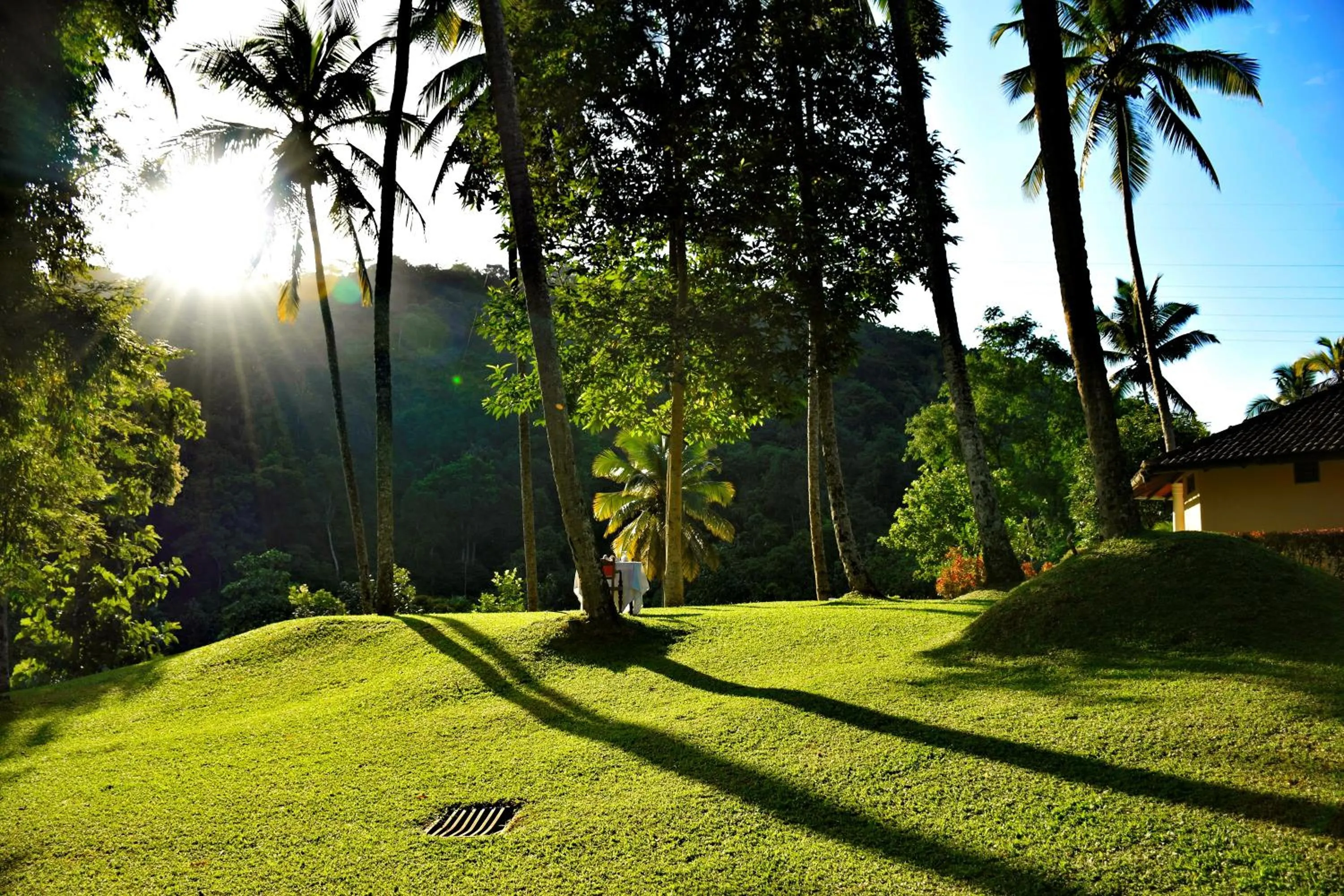 Natural landscape in Athulya Villas, Kandy