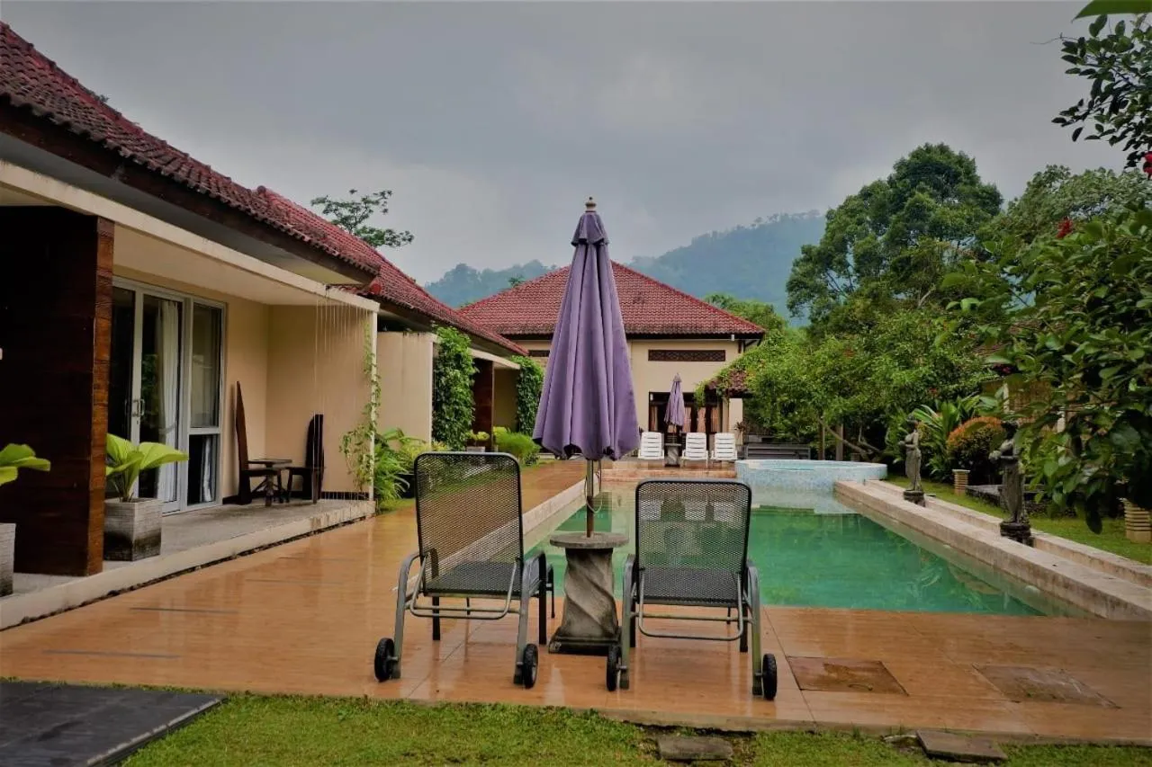 Swimming pool in Villa Kendi