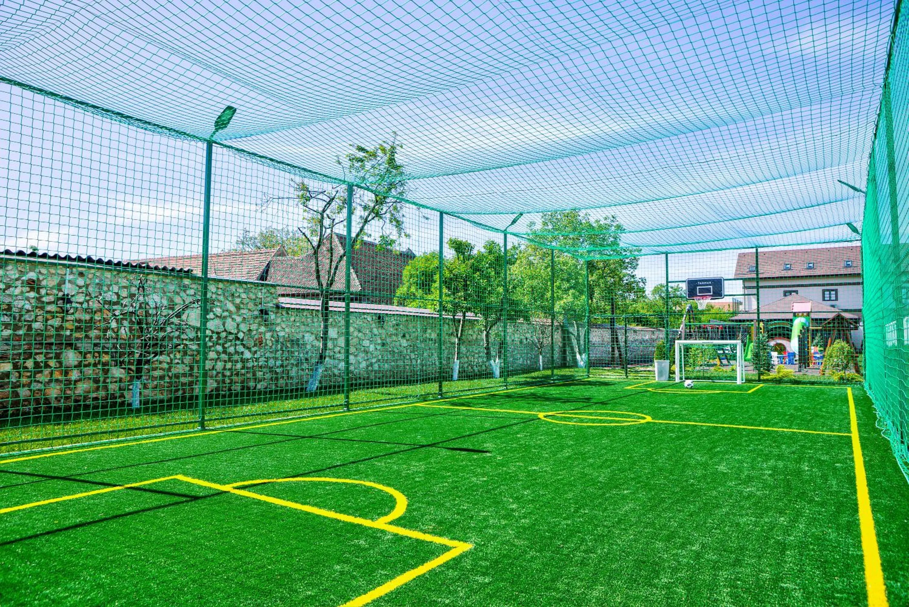 Sports in Conacul Ambient