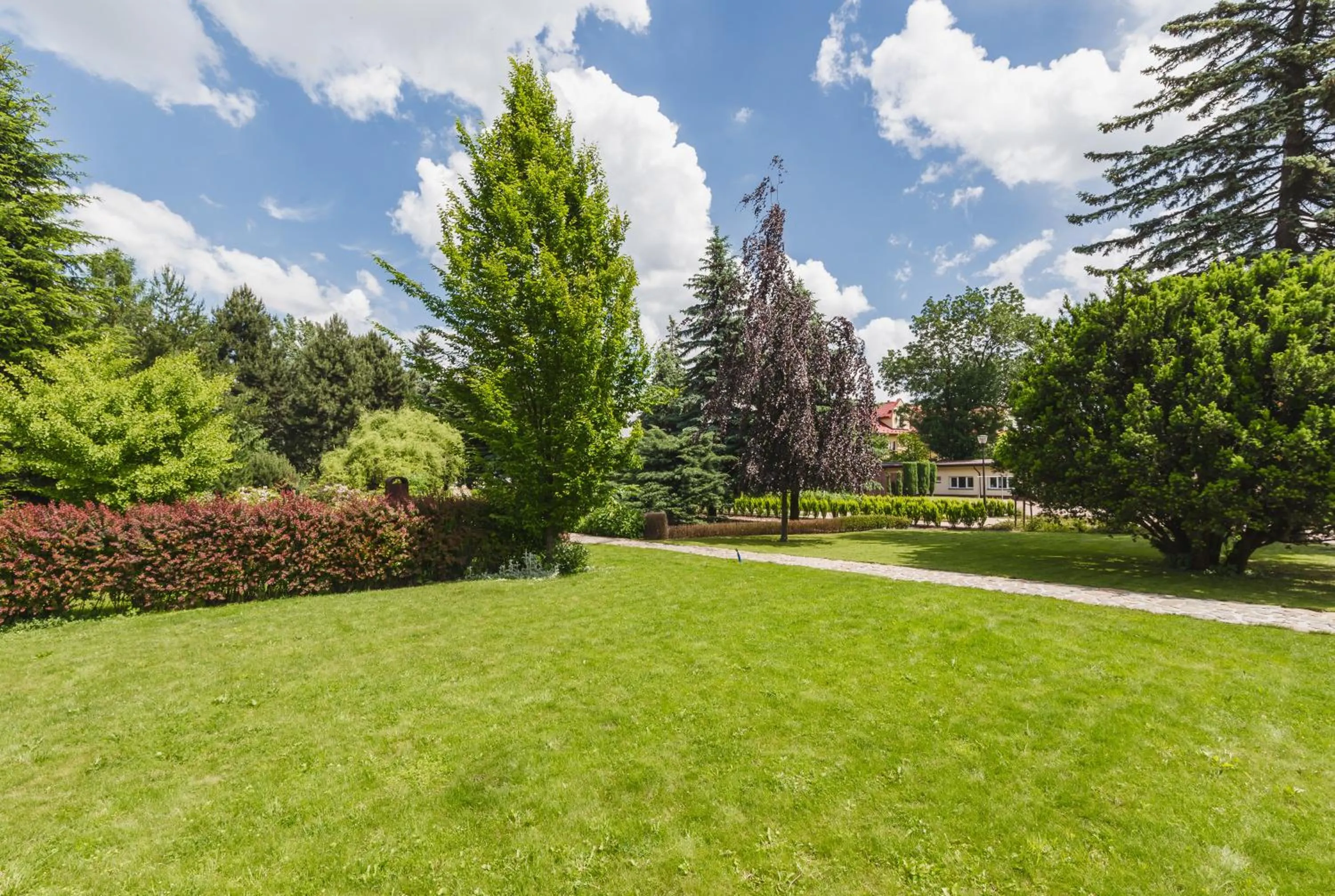 Garden in Hostel Biały Dom