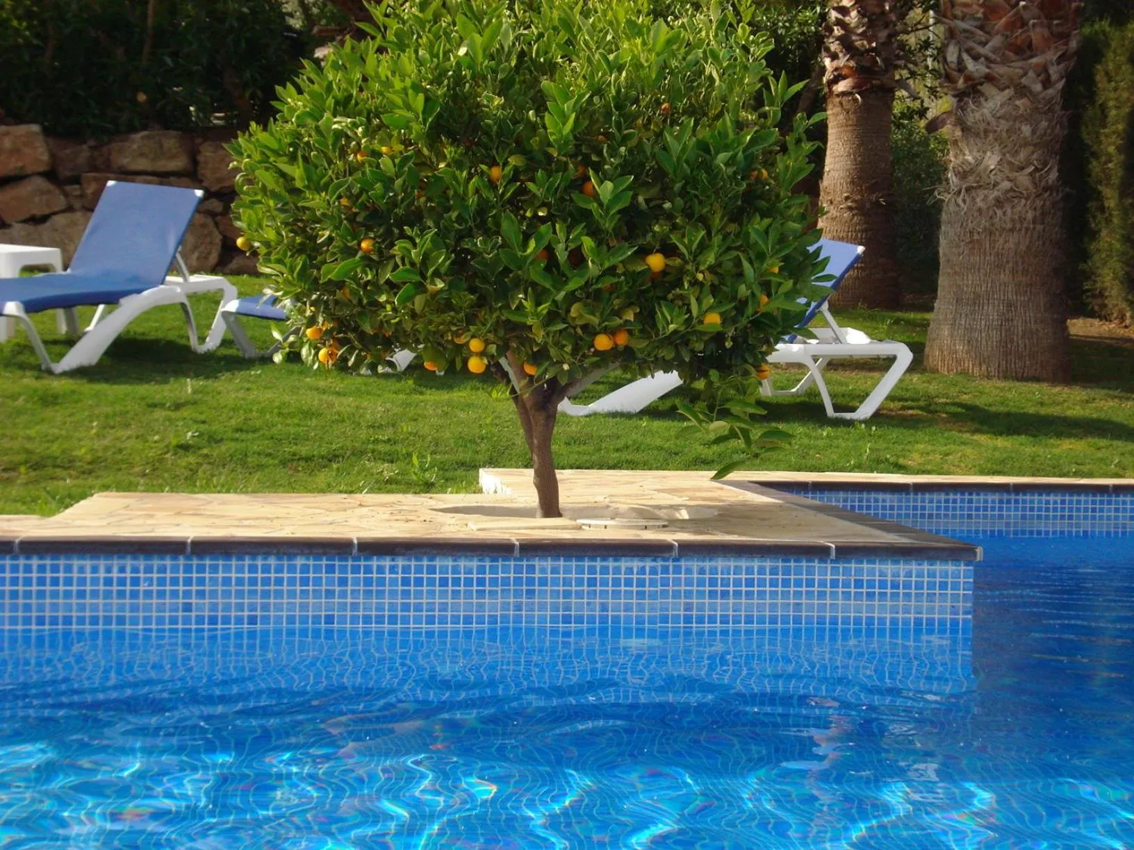 Swimming pool in Hotel Cortijo de Salia
