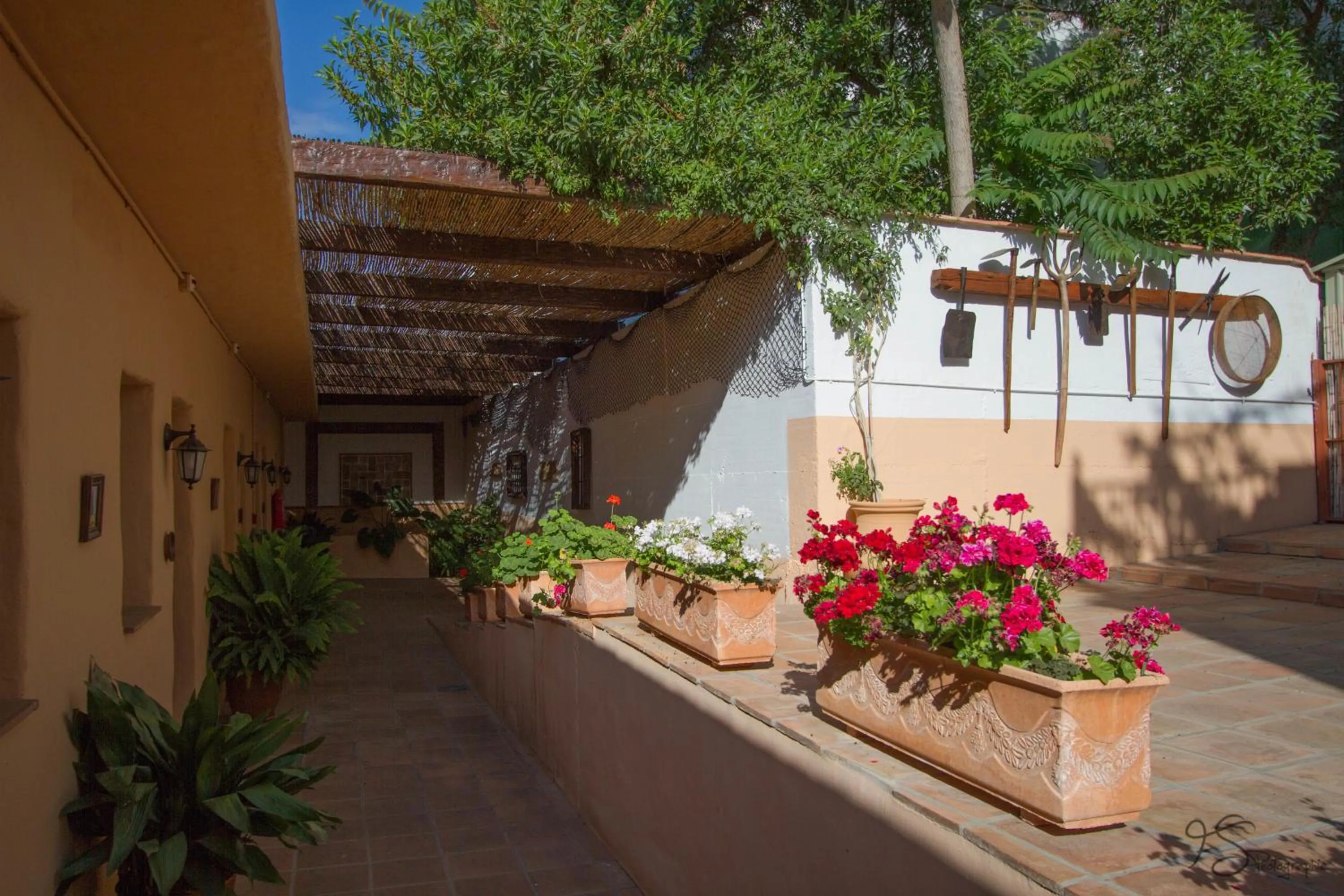 Decorative detail in Hotel Cortijo de Salia