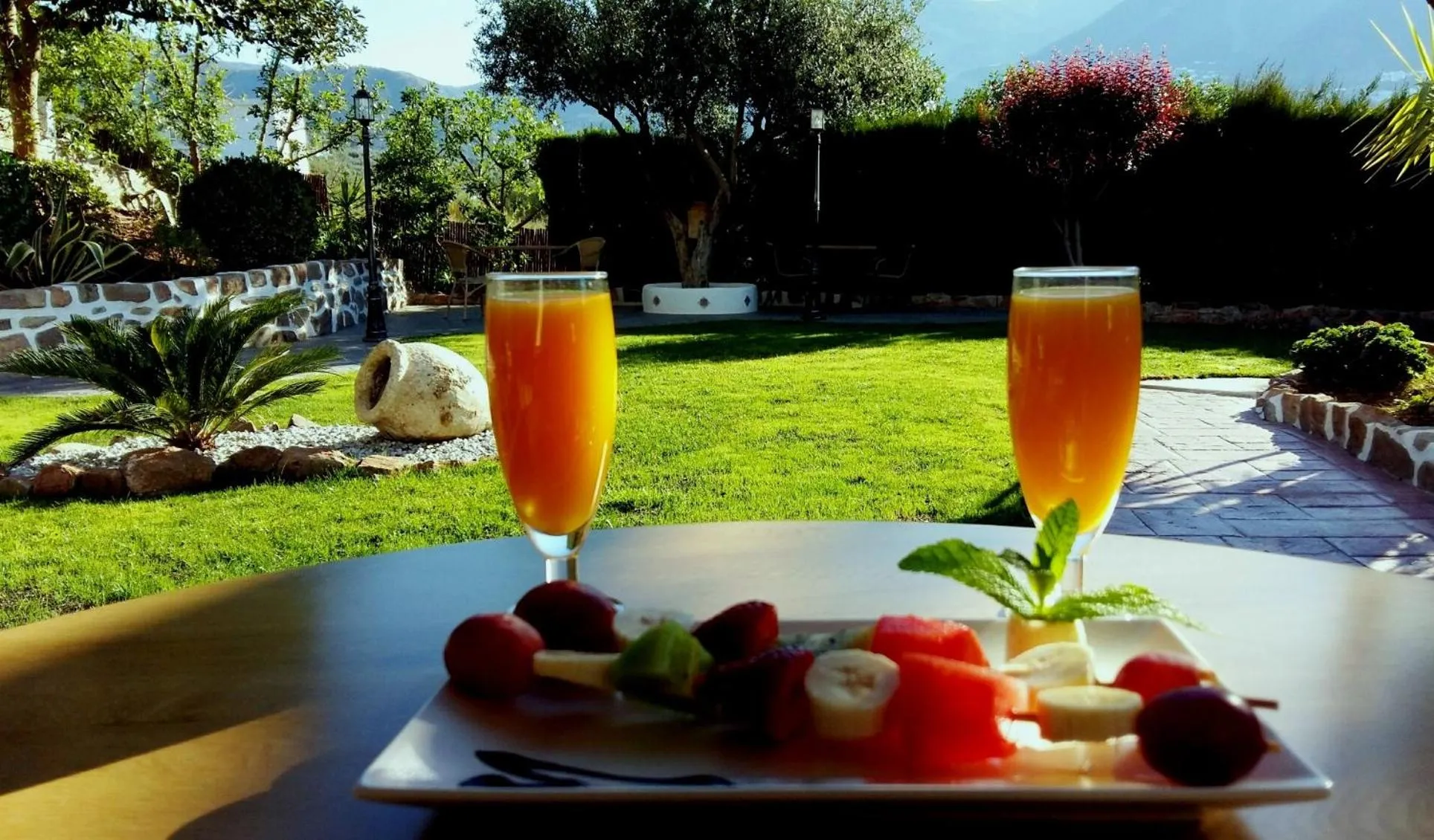 Food and drinks in Hotel Cortijo de Salia