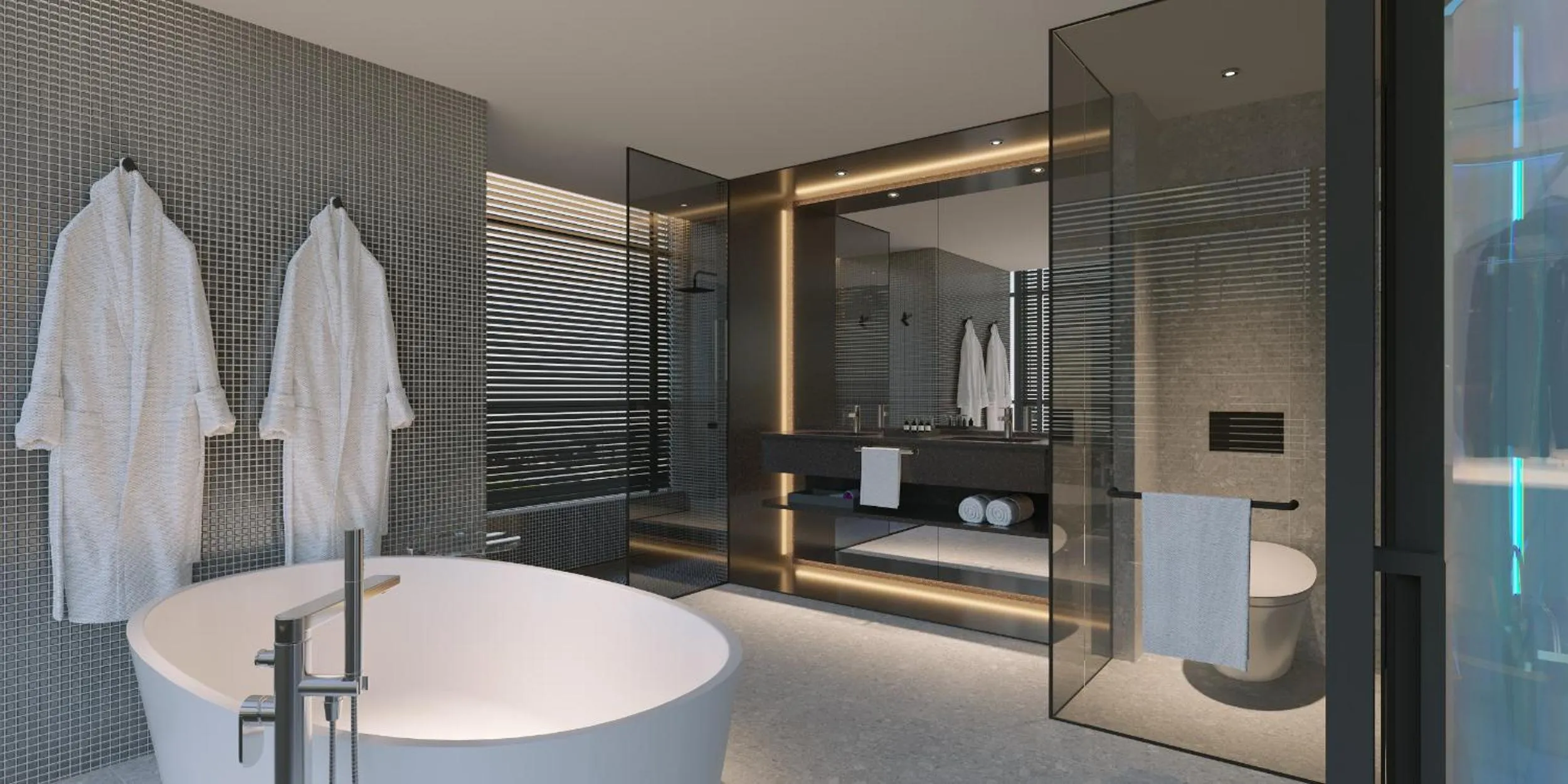 Shower in CapsuleTransit MAX - Terminal 2