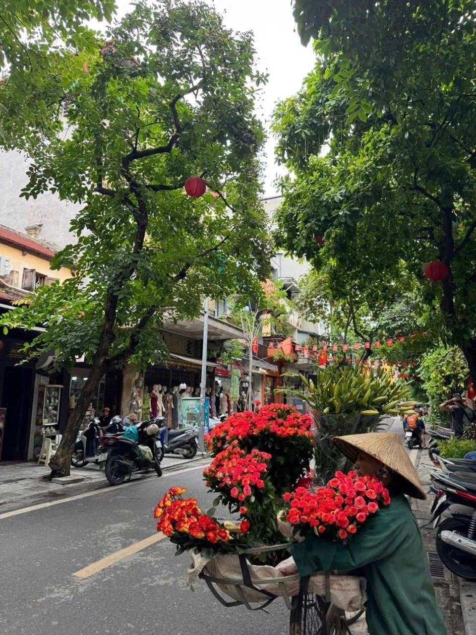 IL Divo Hostel & Spa