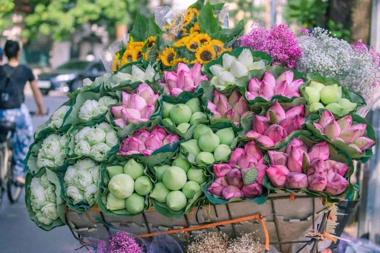 IL Divo Hostel & Spa