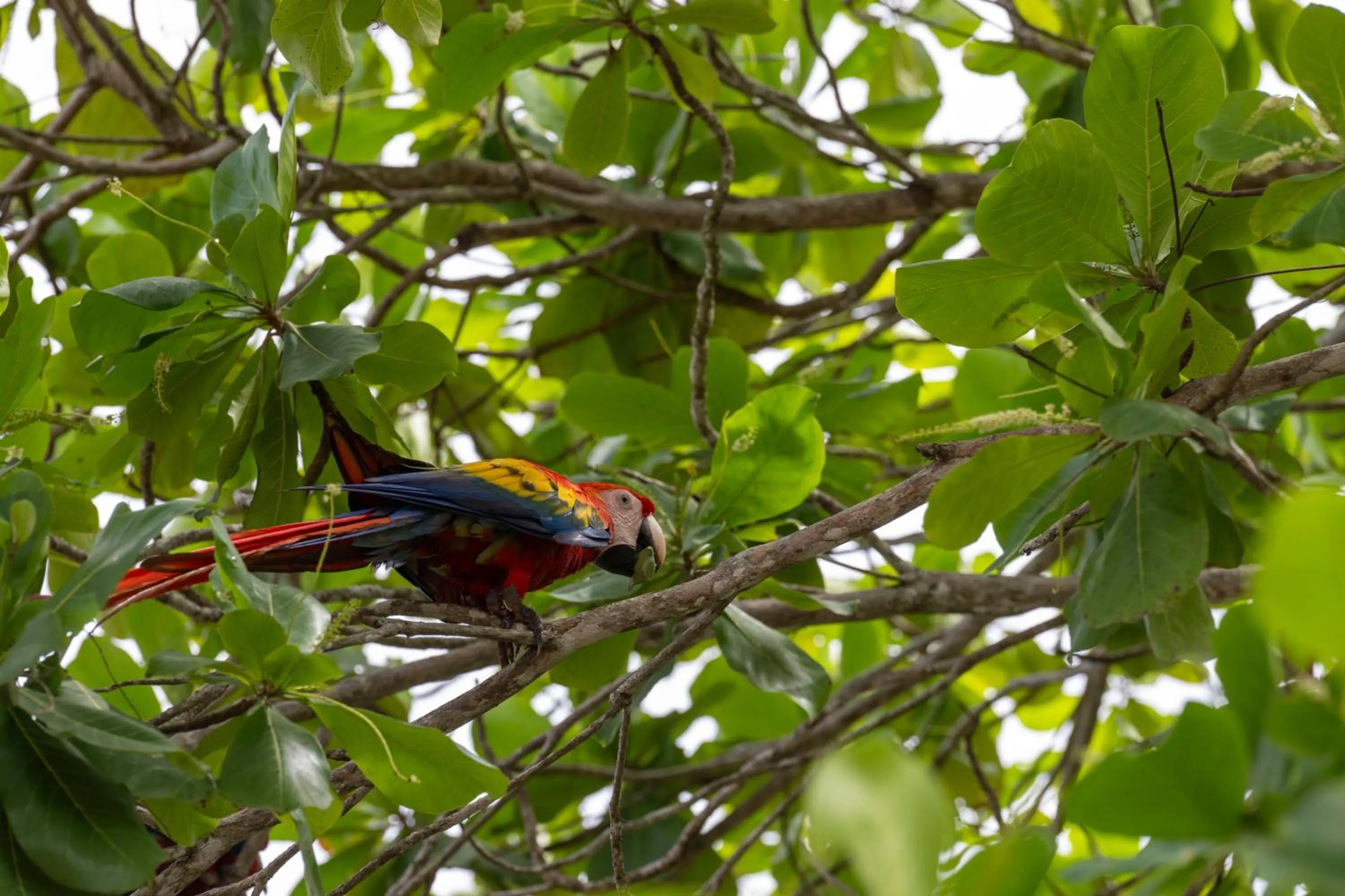 Natural landscape in Fuego del Sol Beachfront Hotel