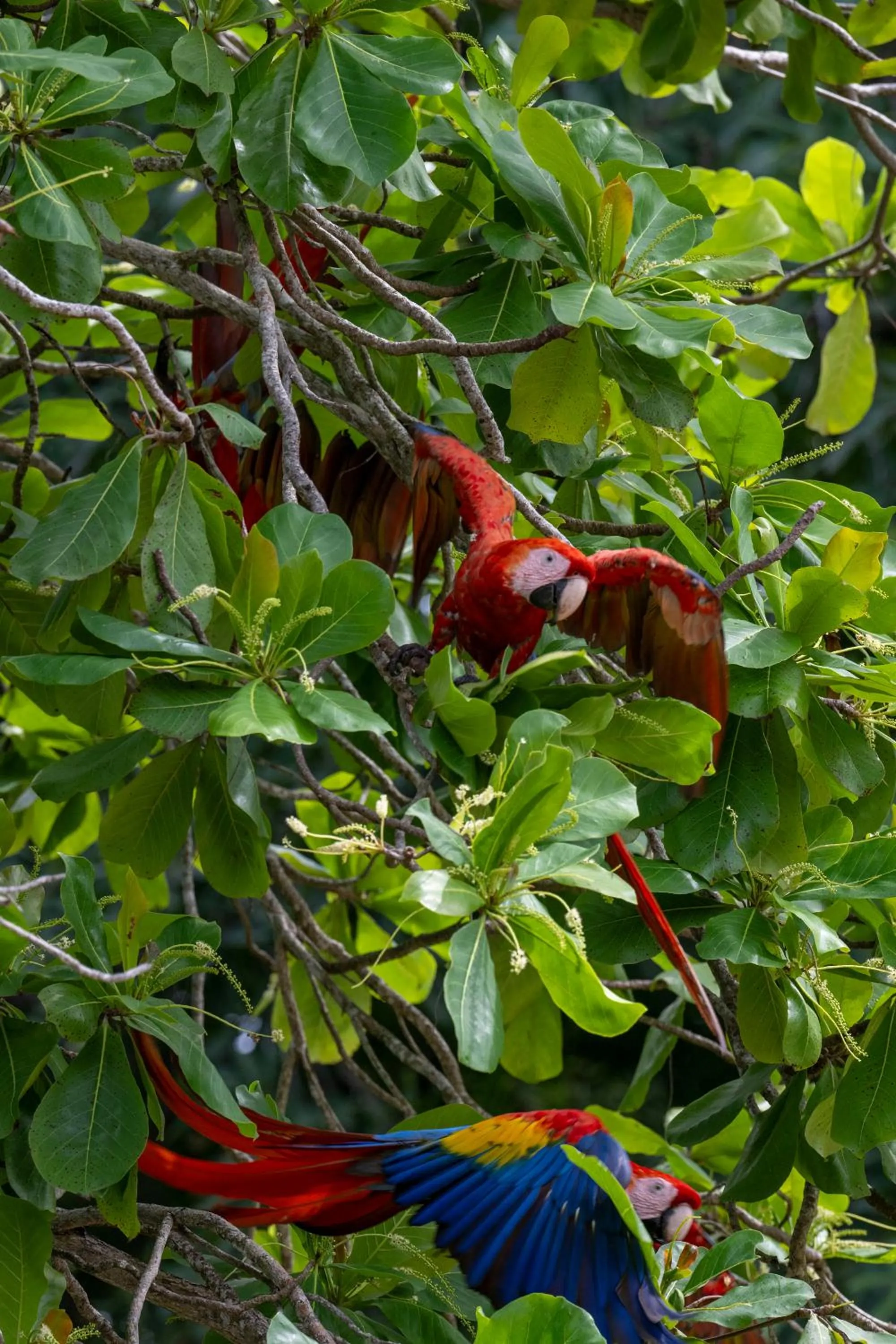 Natural landscape in Fuego del Sol Beachfront Hotel