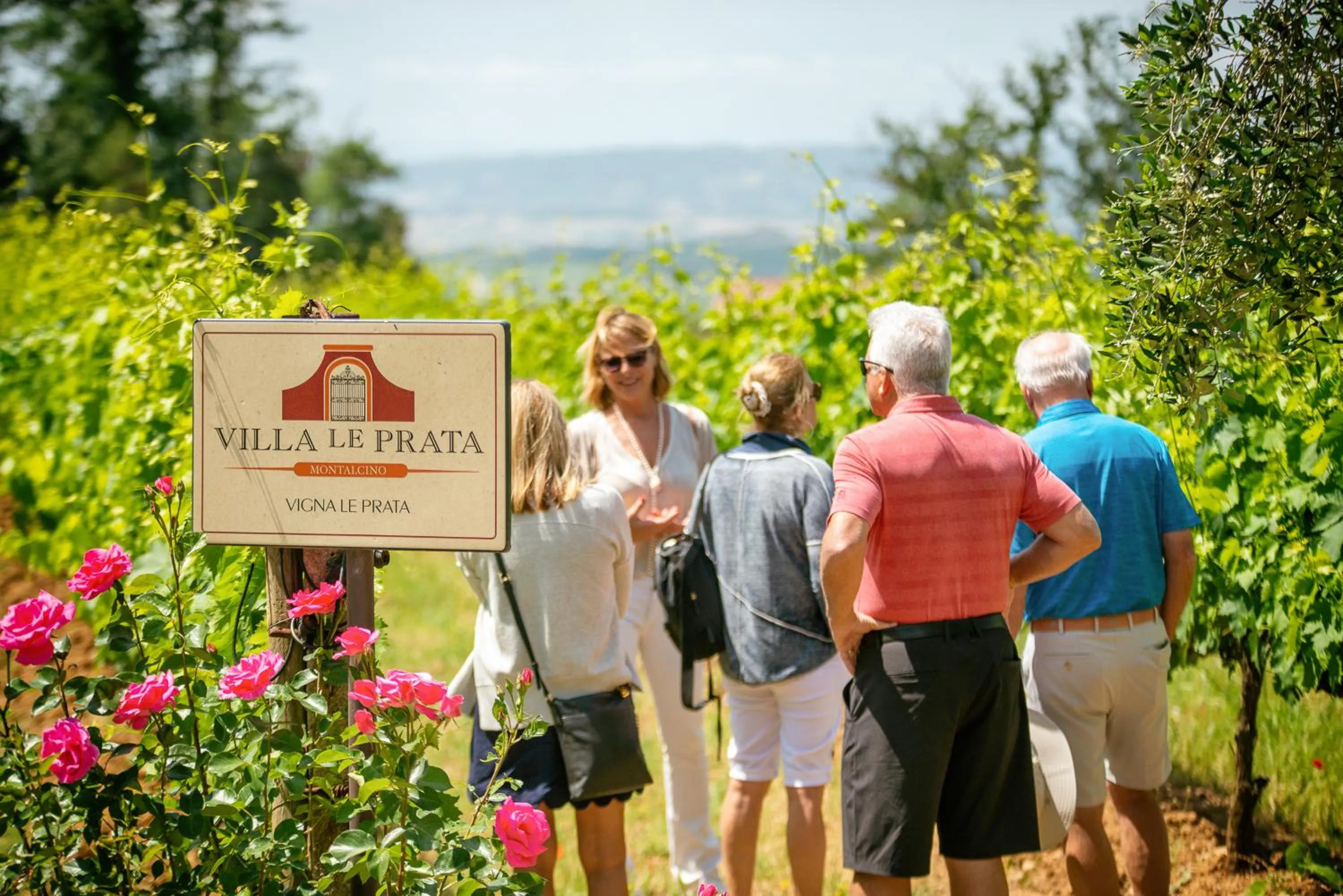 View (from property/room) in Villa Le Prata - Residenza del Vescovo - Cantina & Relais