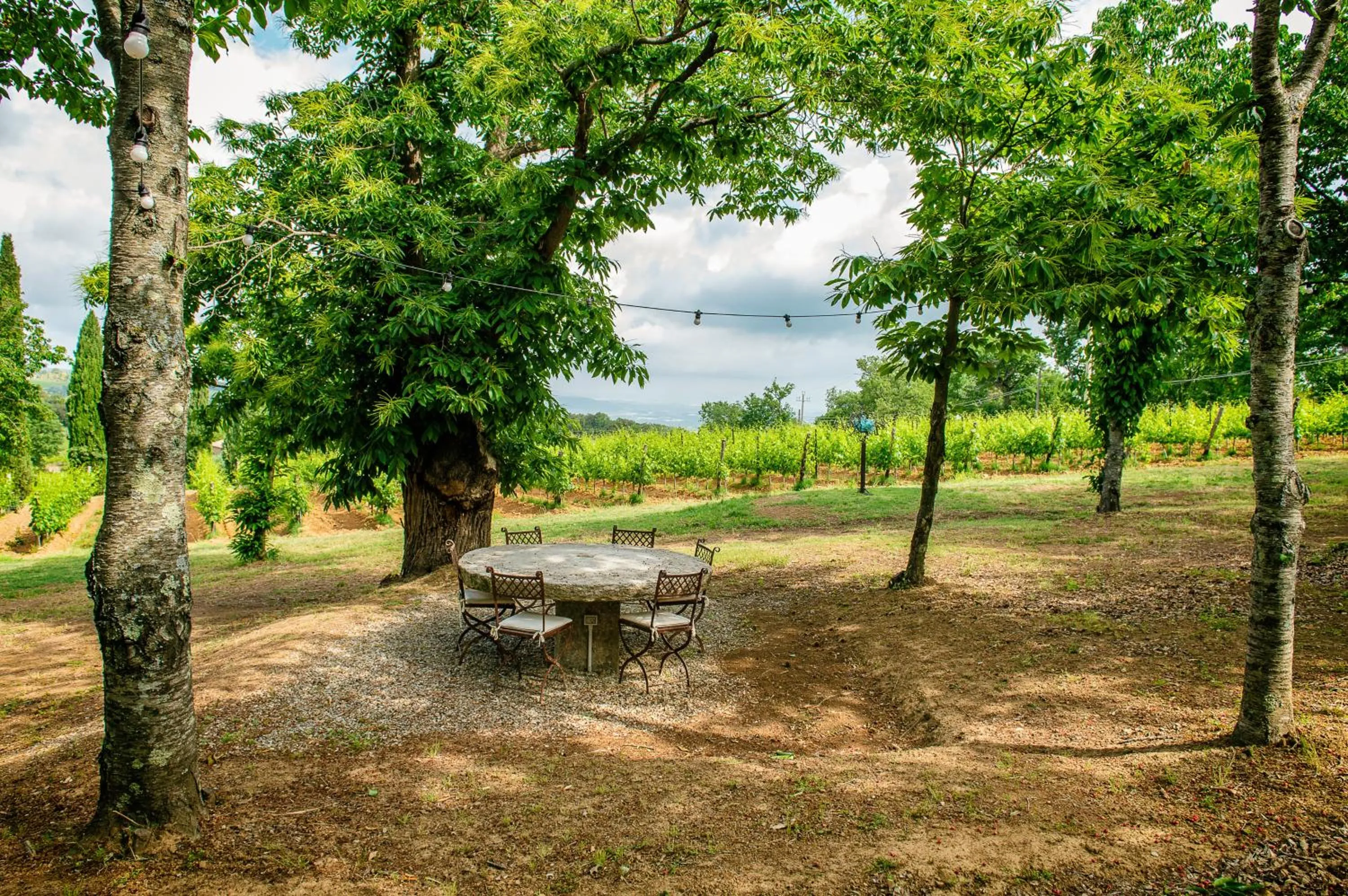 Garden in Villa Le Prata - Residenza del Vescovo - Cantina & Relais