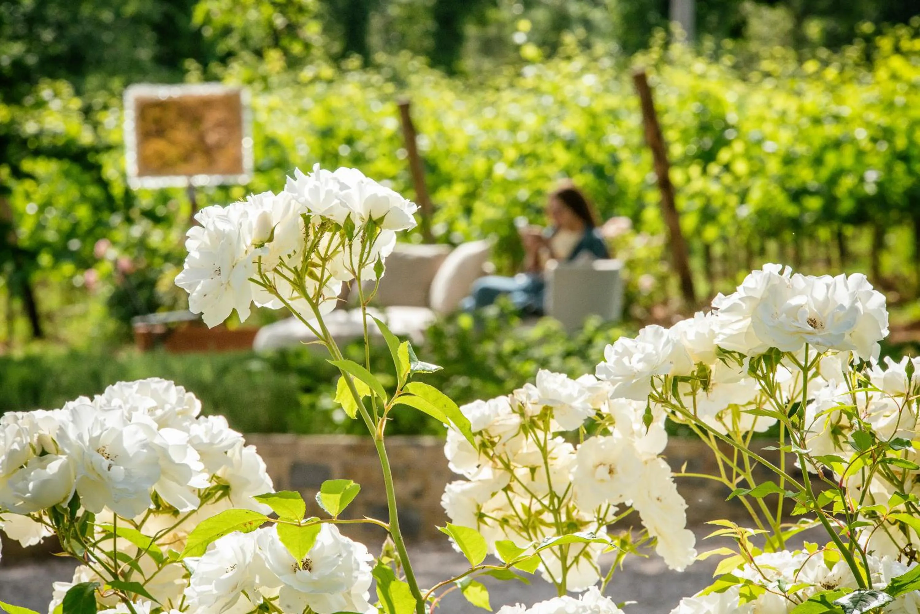 Garden in Villa Le Prata - Residenza del Vescovo - Cantina & Relais