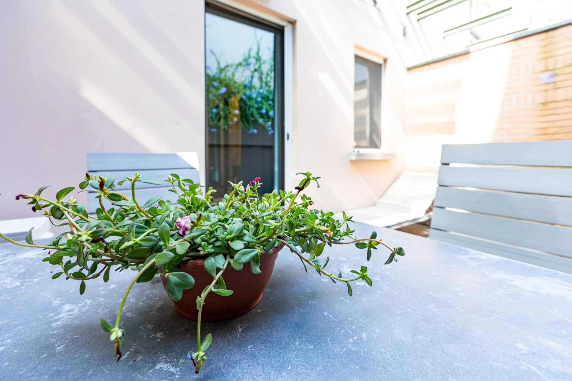 Balcony/Terrace in Città Studi Suites - Top Collection