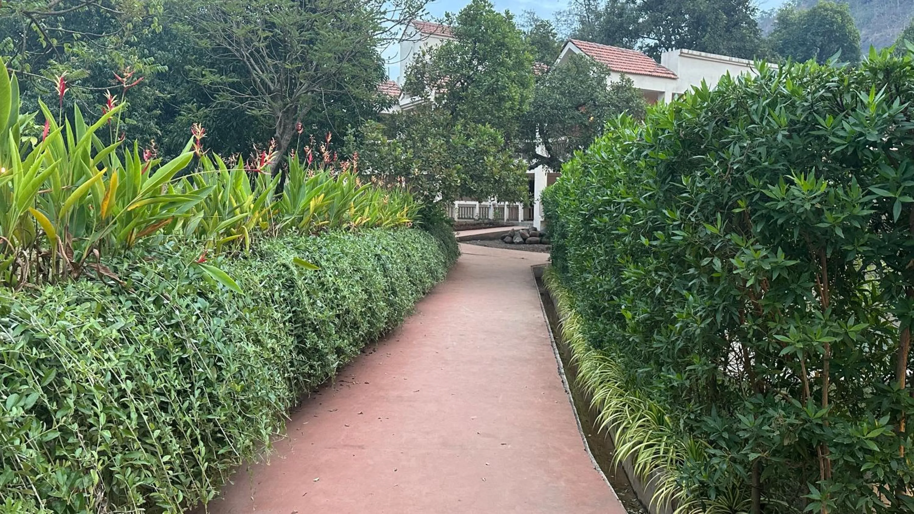 Garden view in Avhyay Resort