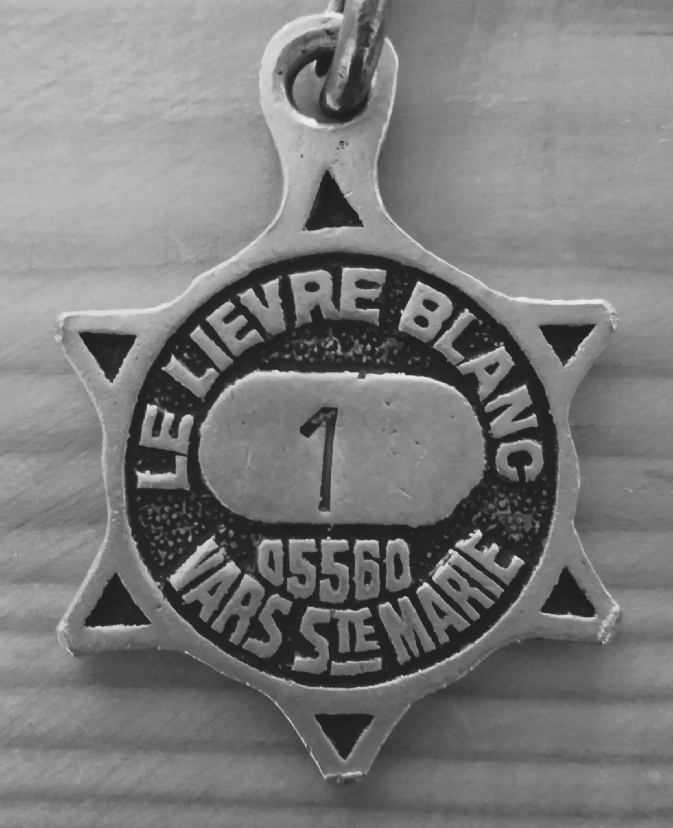 Property logo or sign in Hôtel Le Lievre Blanc