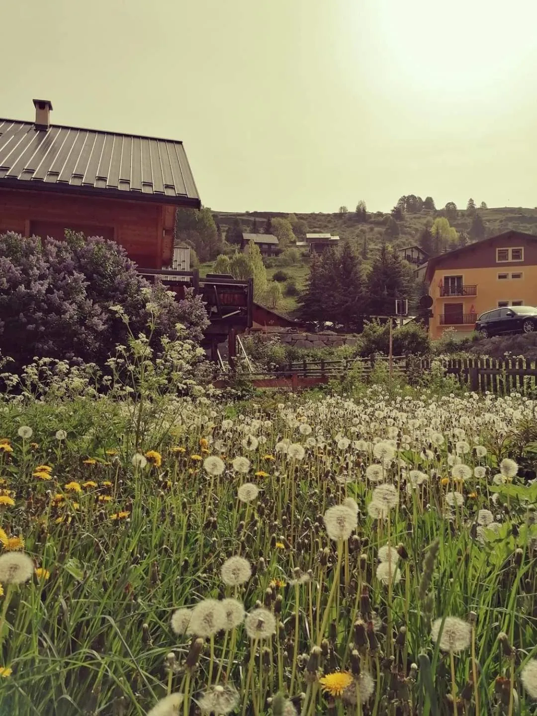 Garden view in Hôtel Le Lievre Blanc