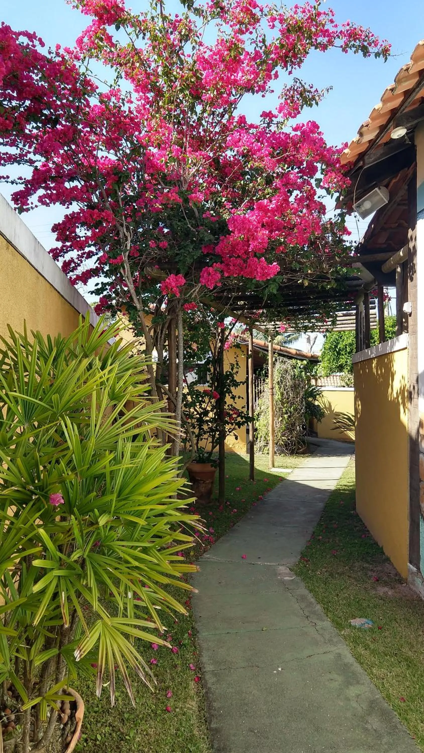Aloha Itaúna