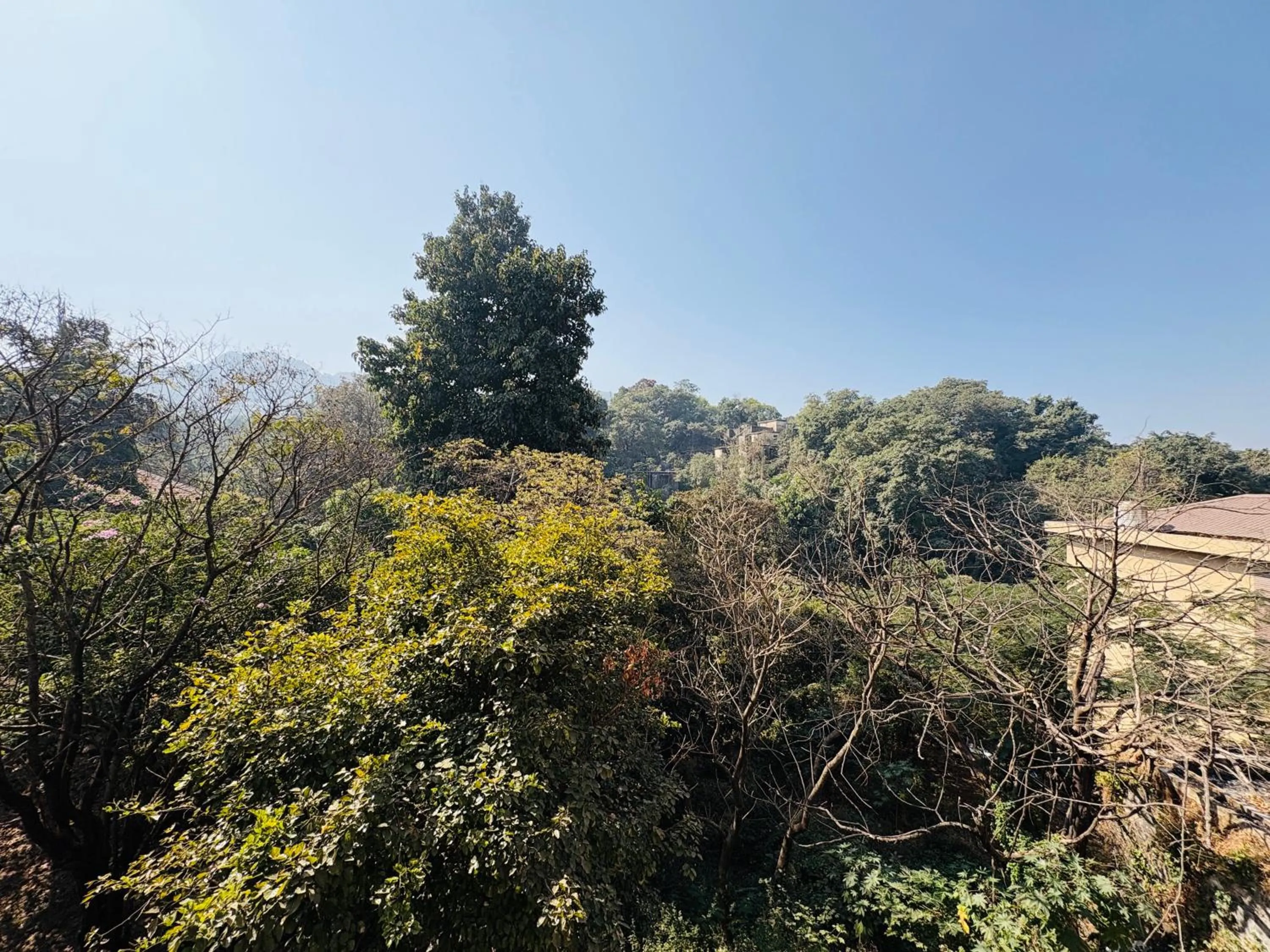 Natural landscape in Hotel Lalit inn Lonavala