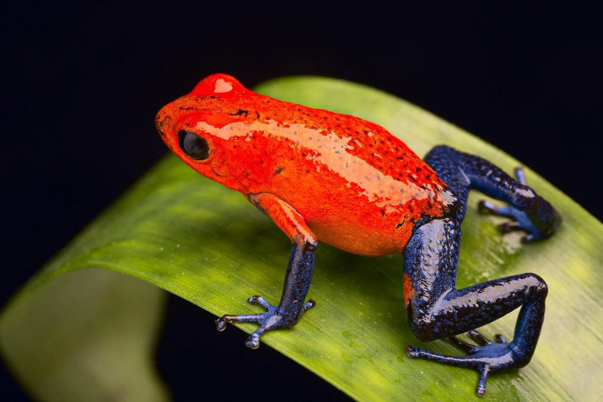 Natural landscape in Hotel Colores del Arenal