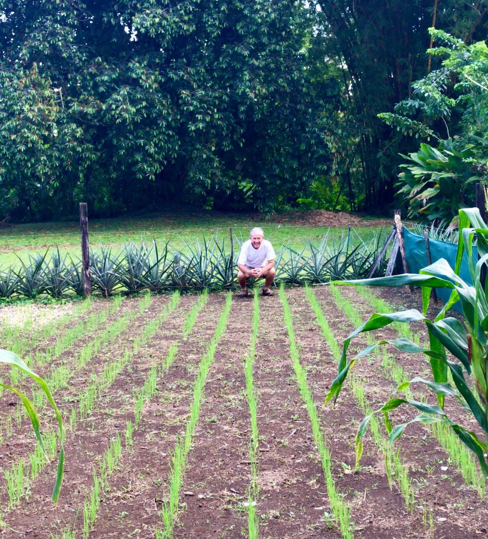 Garden in Hotel Colores del Arenal