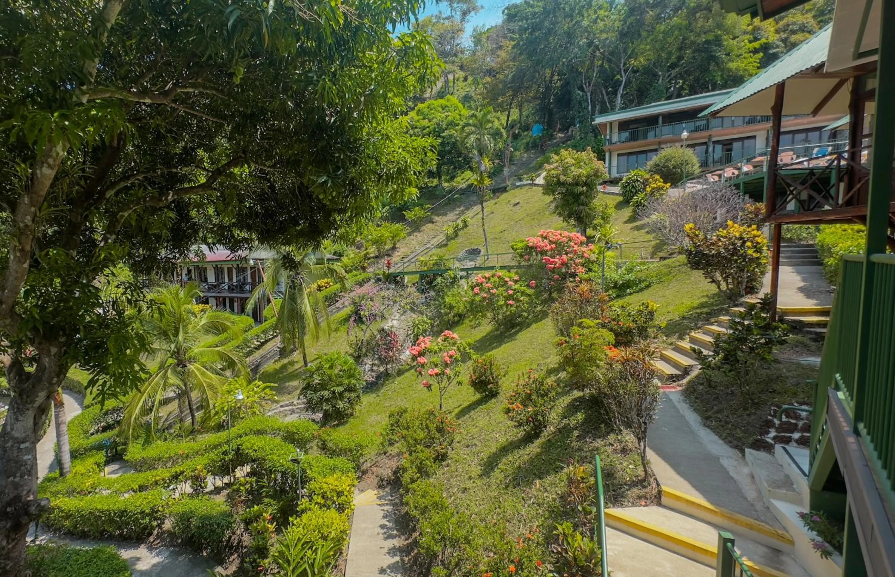 Natural landscape in Tabulia Tree Hotel and Villas