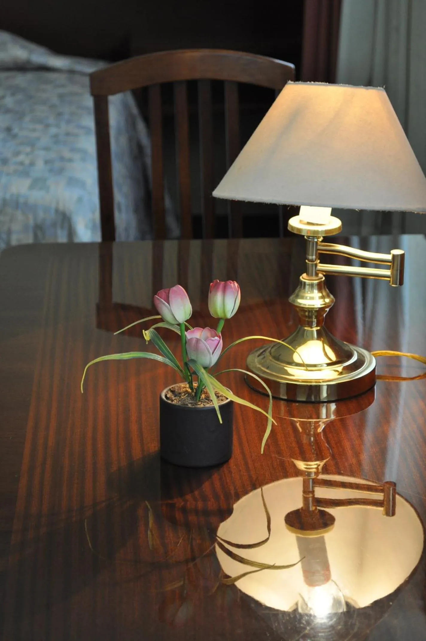 View (from property/room) in Hotel Flamingo Kristal