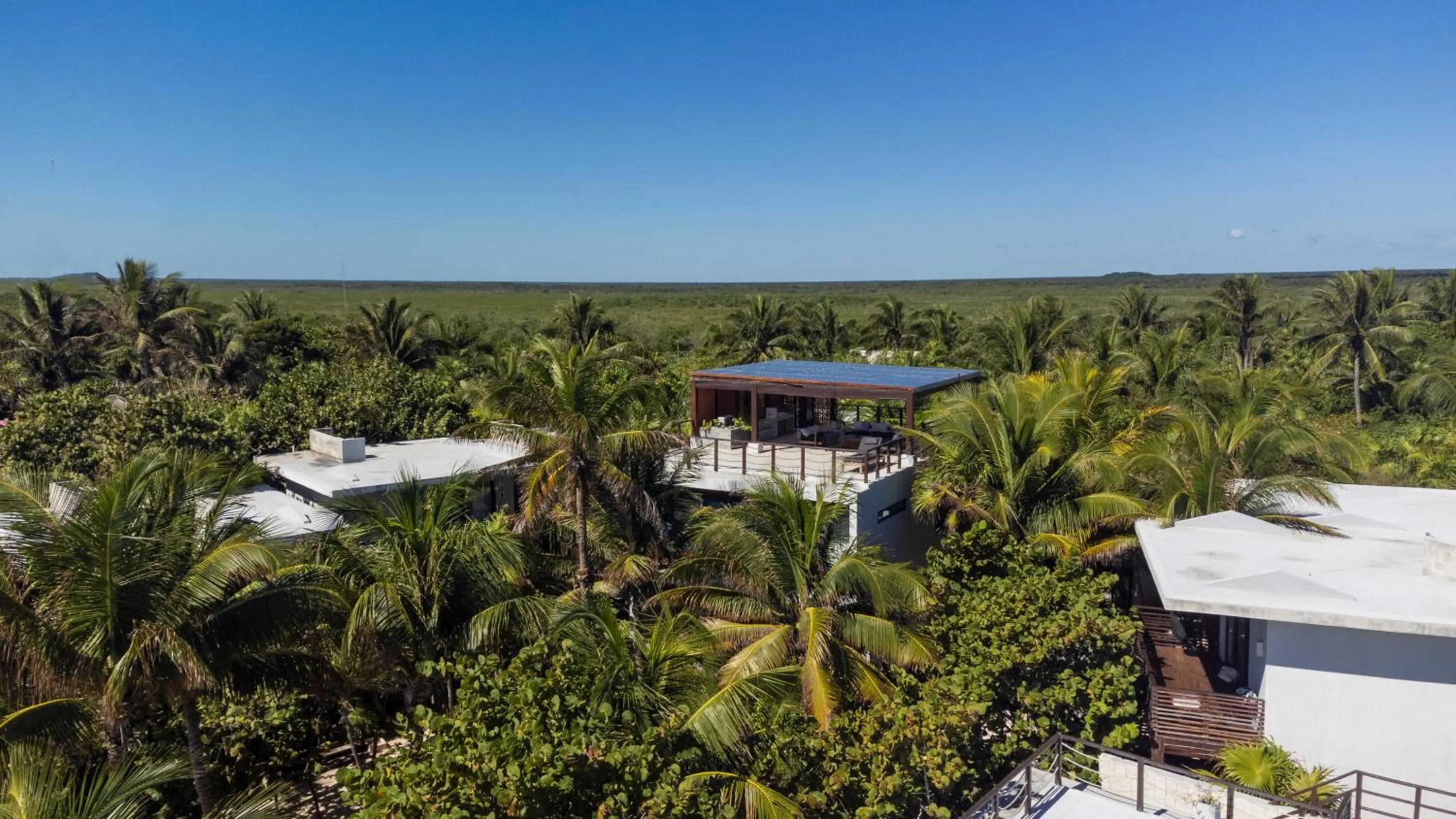 Natural landscape in Lula Tulum, a Small Luxury Hotel