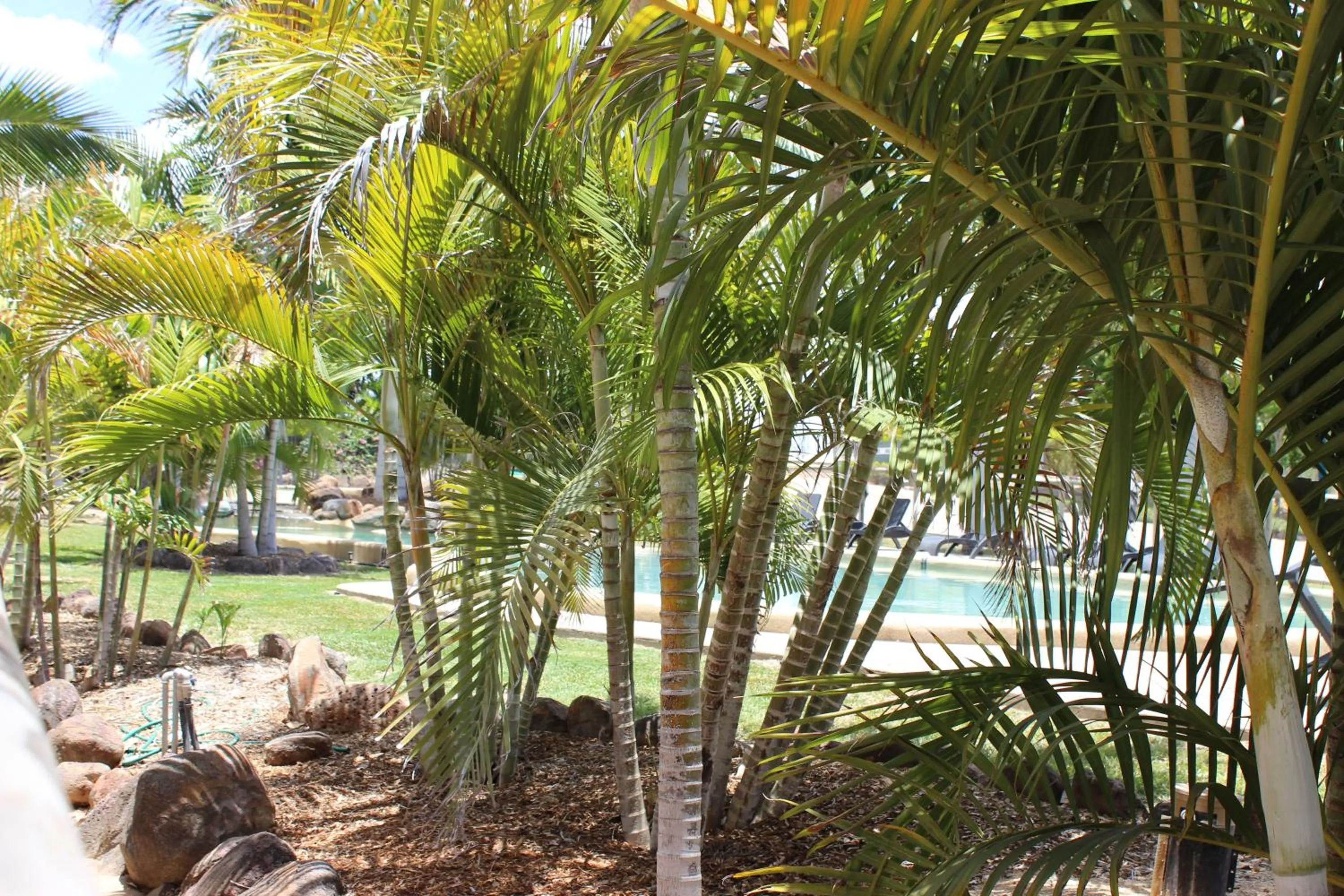 Swimming pool in Aussie Outback Oasis Holiday Park