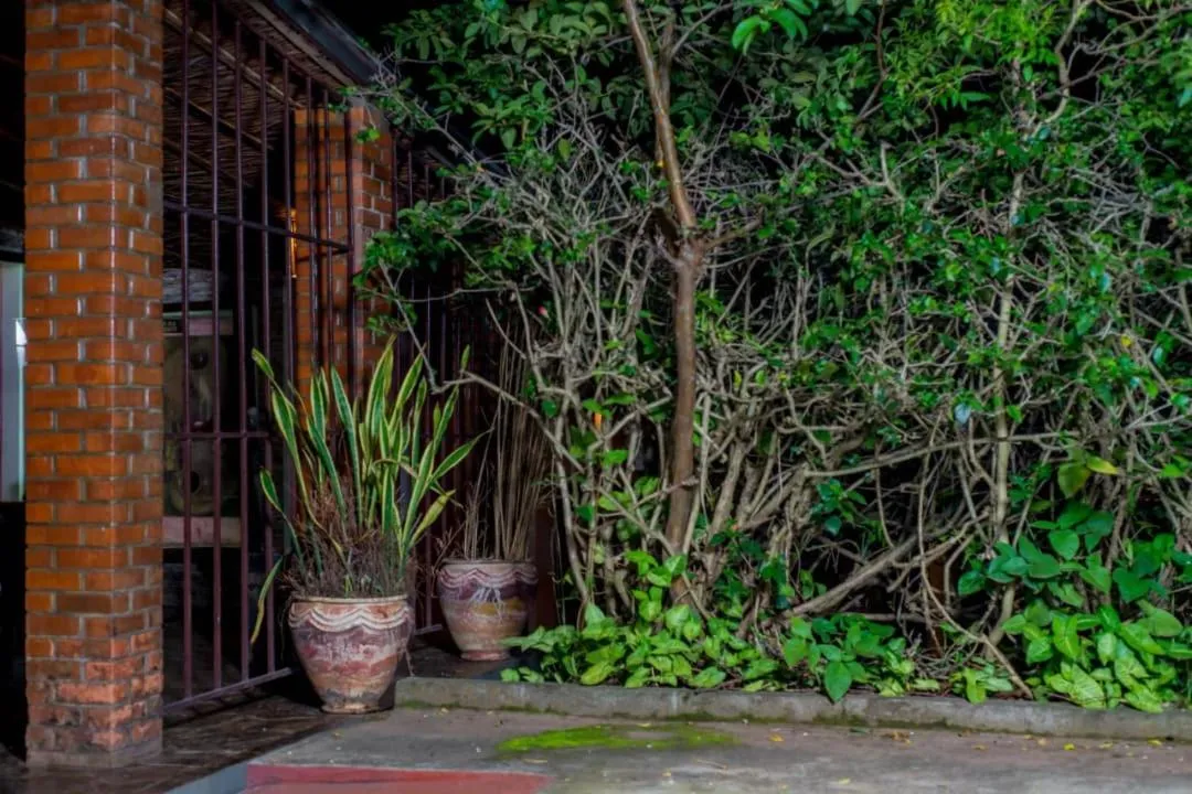Garden in Inside Afrika Boutique Hotel