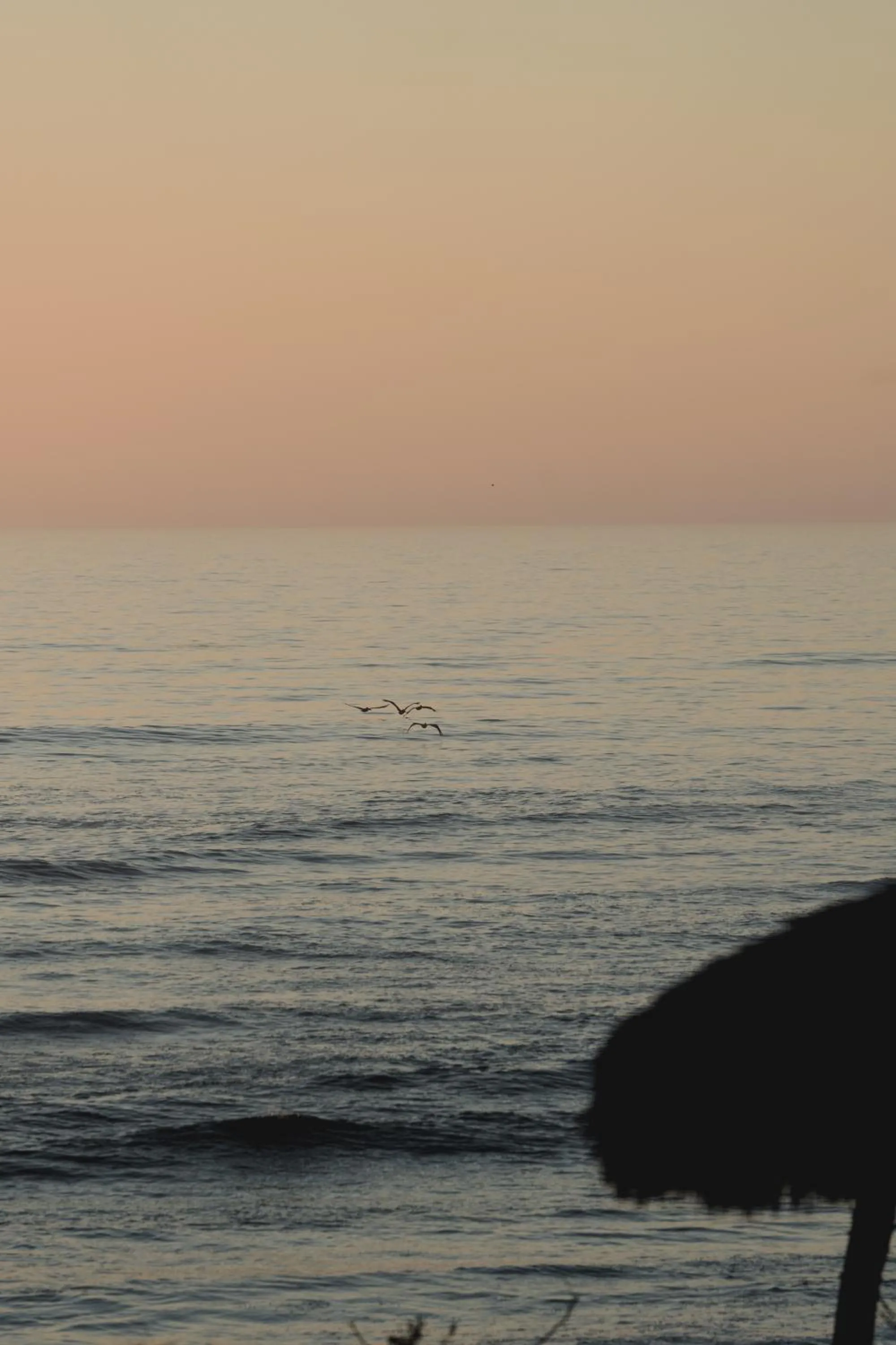 Natural landscape in Toninas México Bungalow