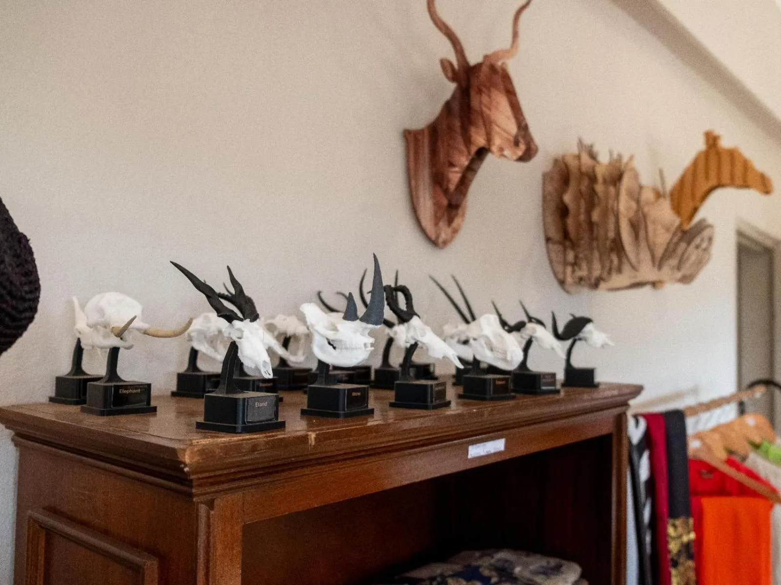 Shopping Area in Zebra Nature Reserve