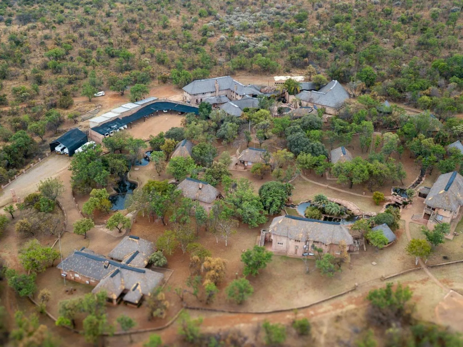Bird's eye view in Zebra Nature Reserve