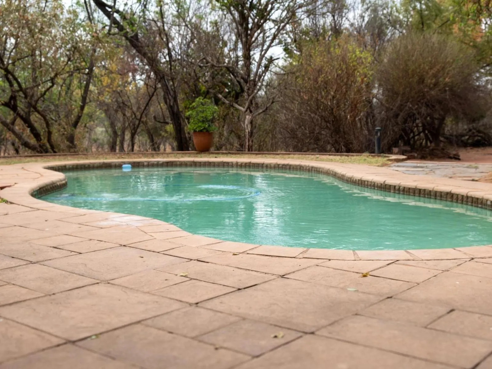 Pool view in Zebra Nature Reserve