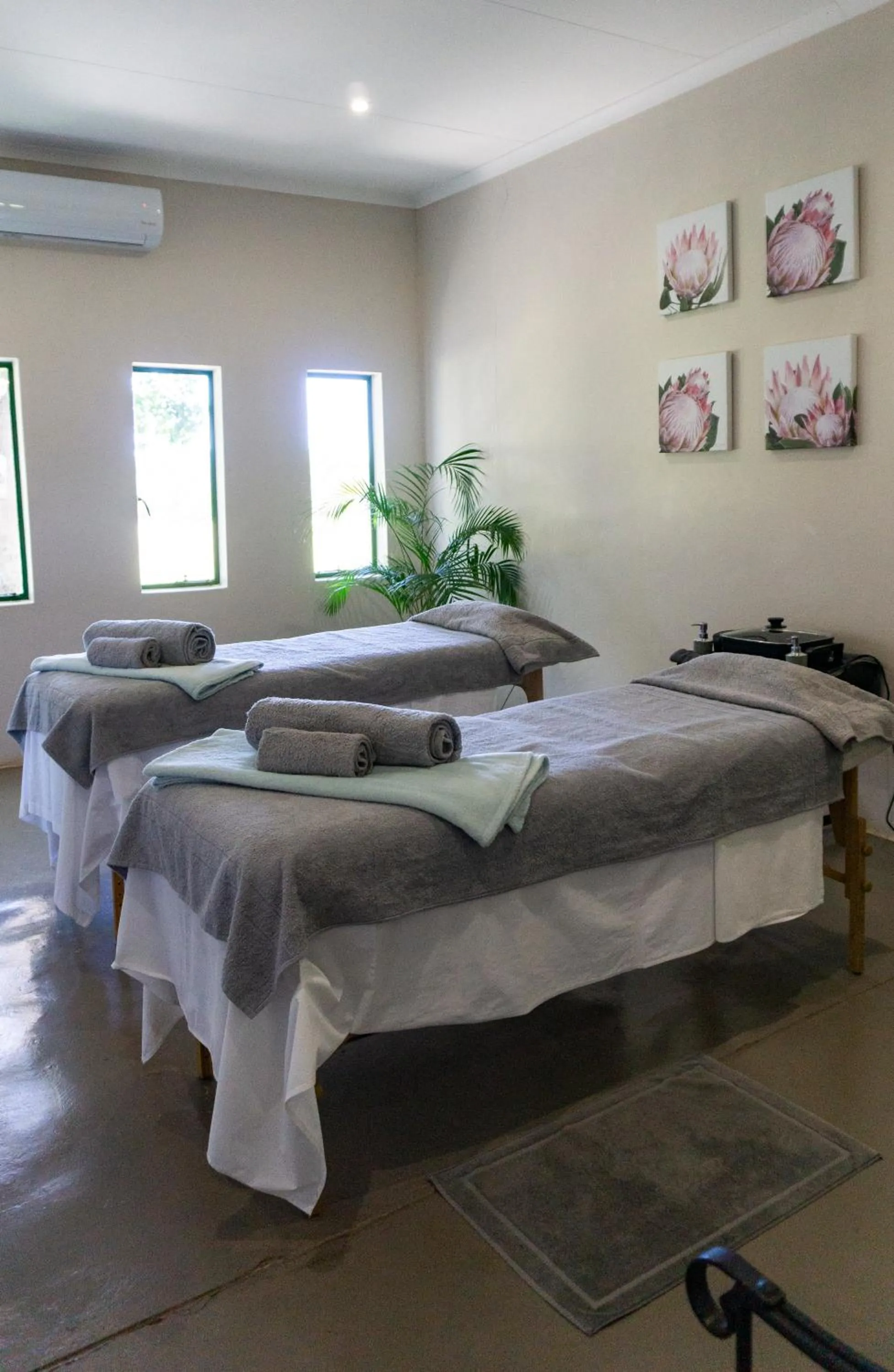 Activities, Bed in Zebra Nature Reserve