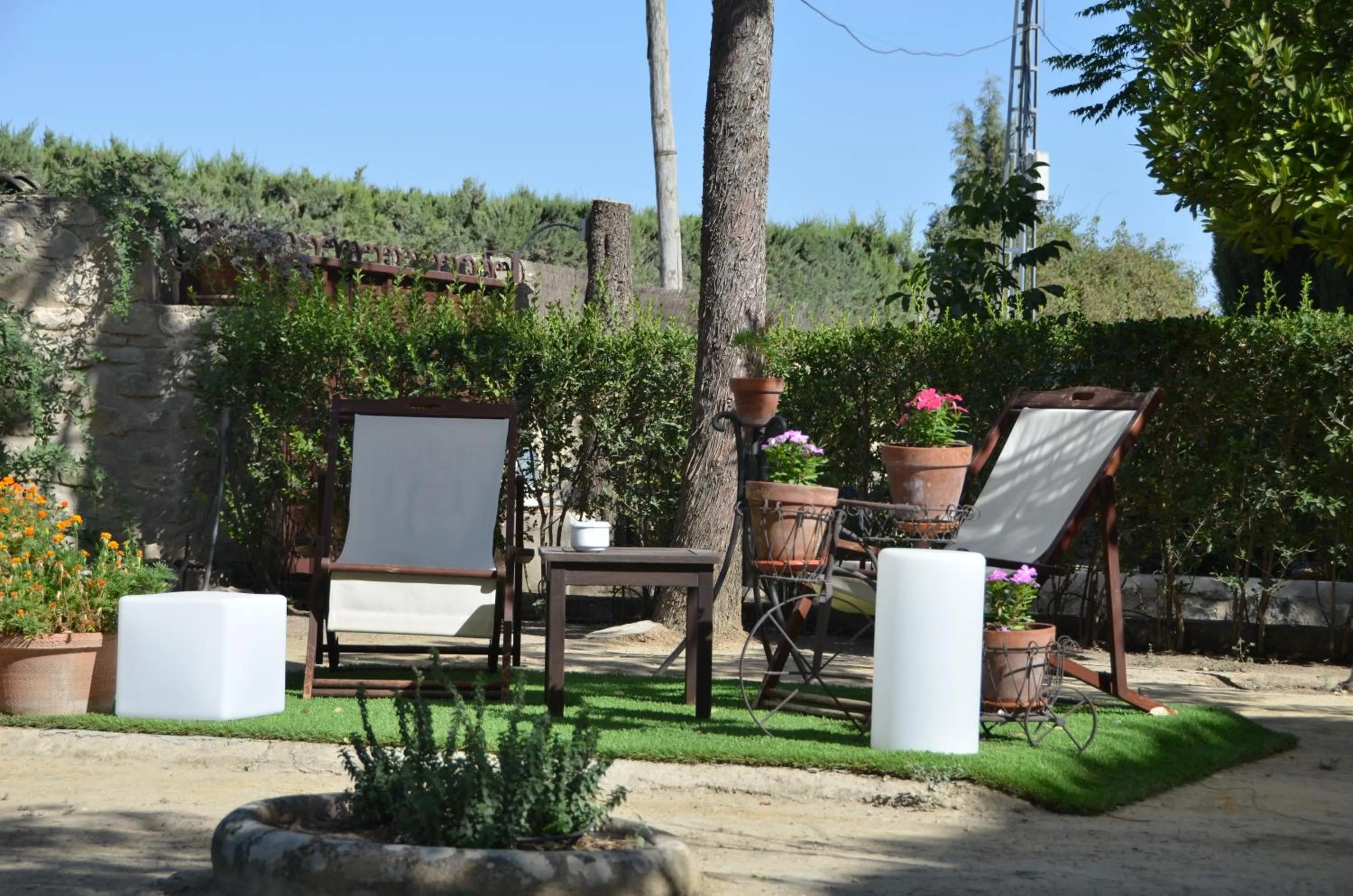 Garden in La Caseria de Tito