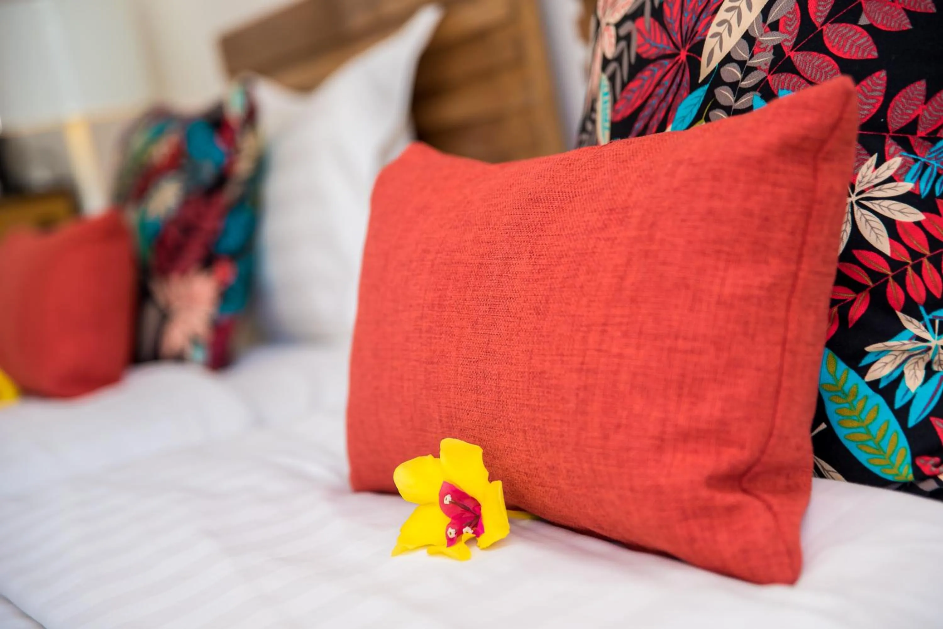 Decorative detail, Bed in Villas Mon Plaisir