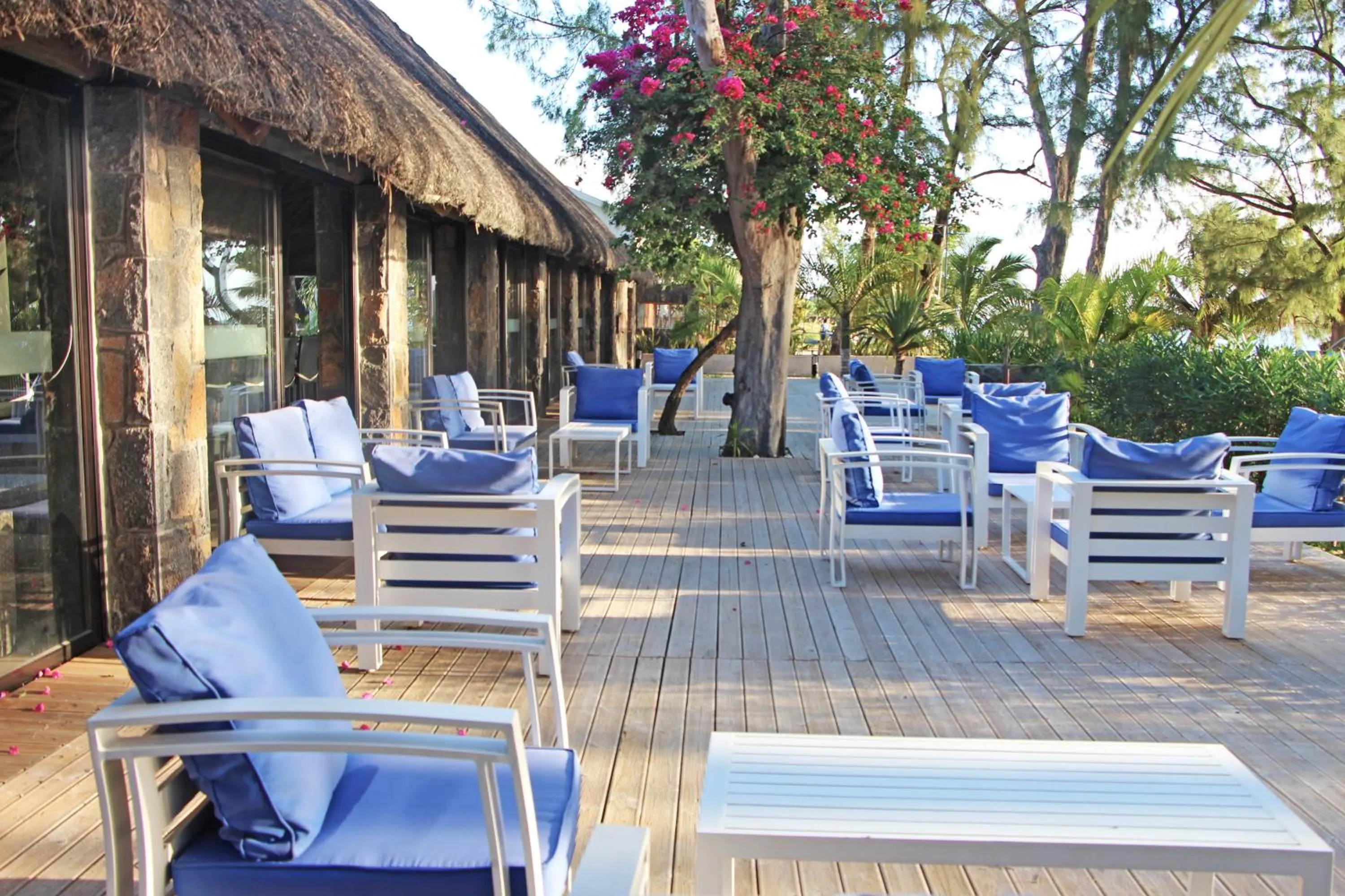 Lounge or bar in Villas Mon Plaisir