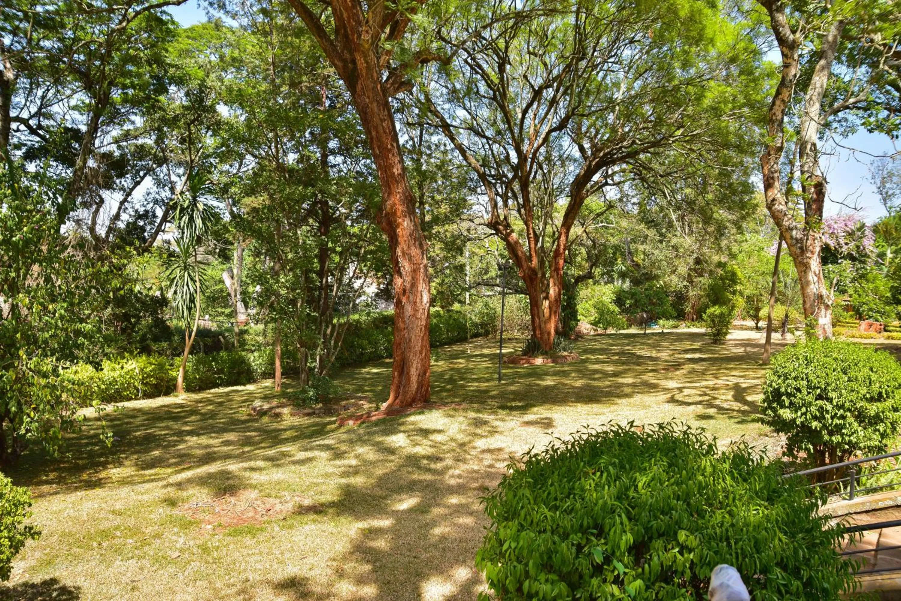 Garden in Kongoni House
