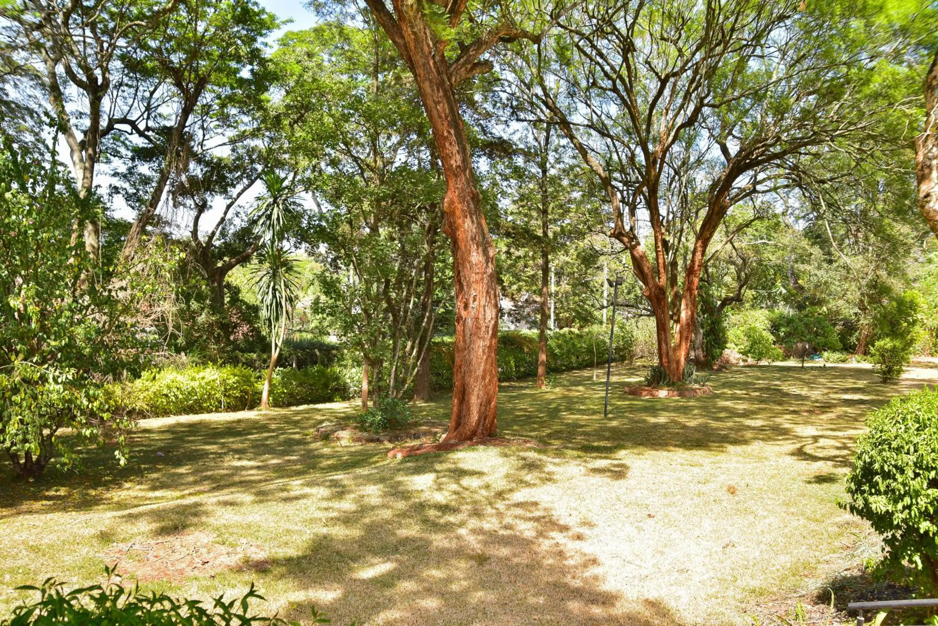 Day in Kongoni House