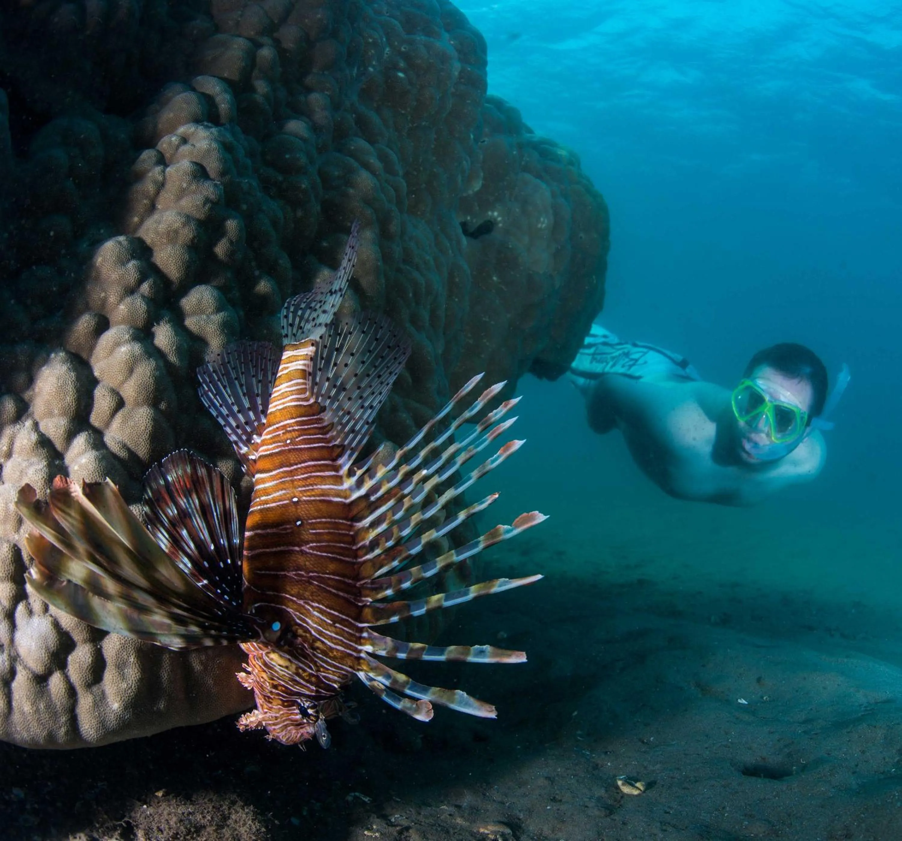 Snorkeling in Machangulo Beach Lodge
